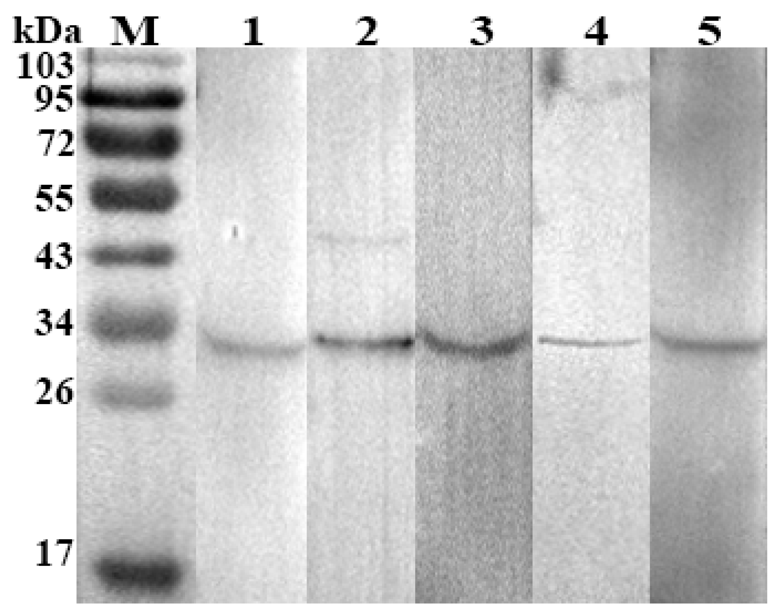 Animals 09 00548 g004 Animals 09 00548 g004