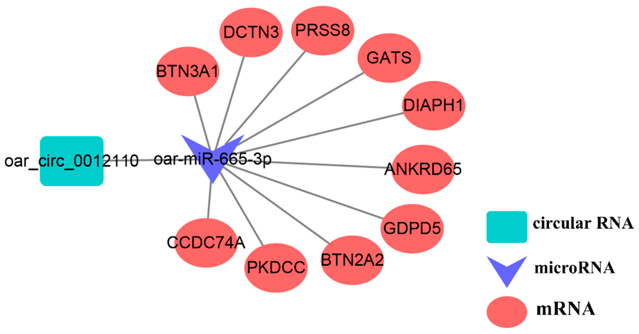 Animals 09 00557 g009