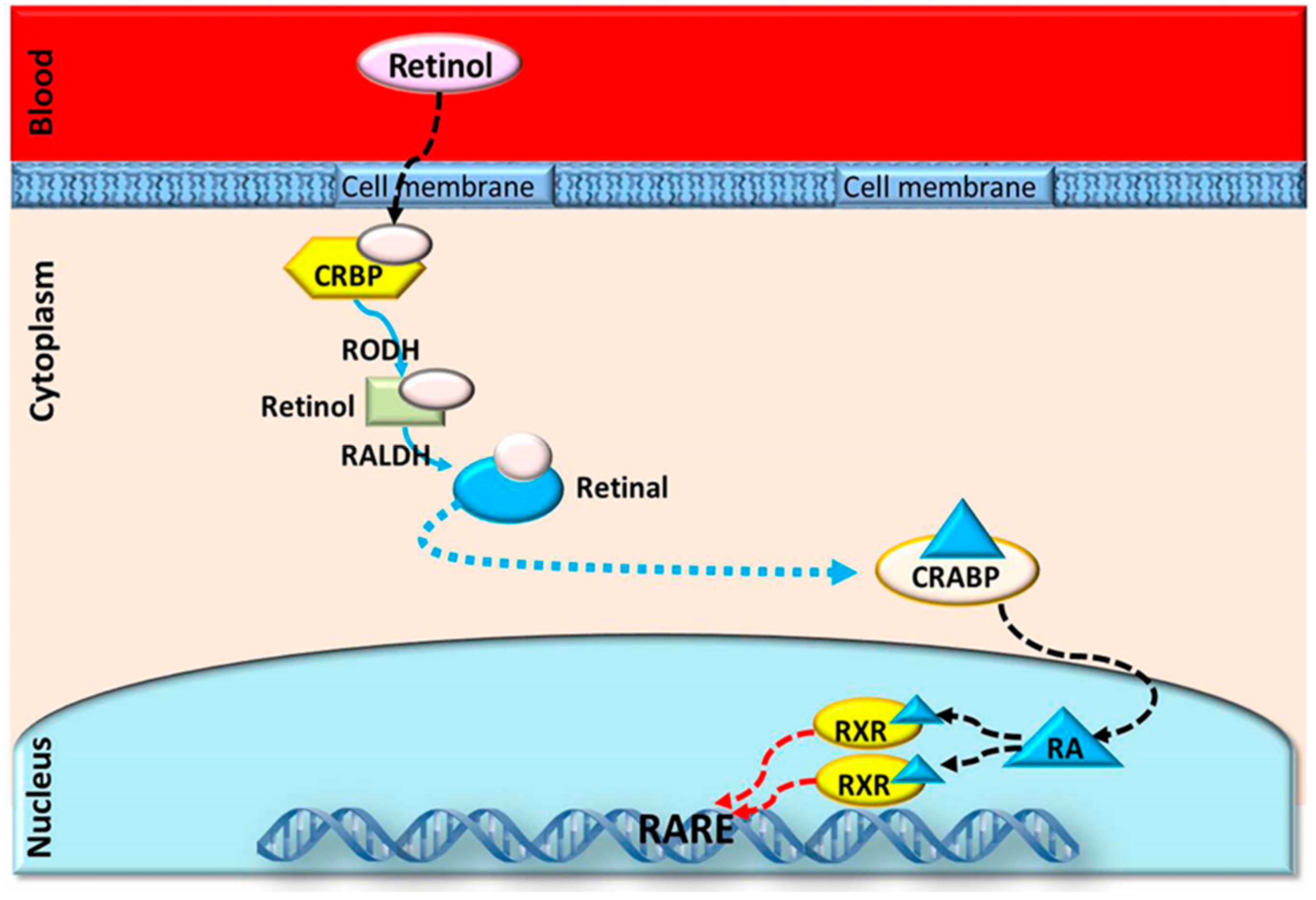 Animals 09 00561 g002 Animals 09 00561 g002