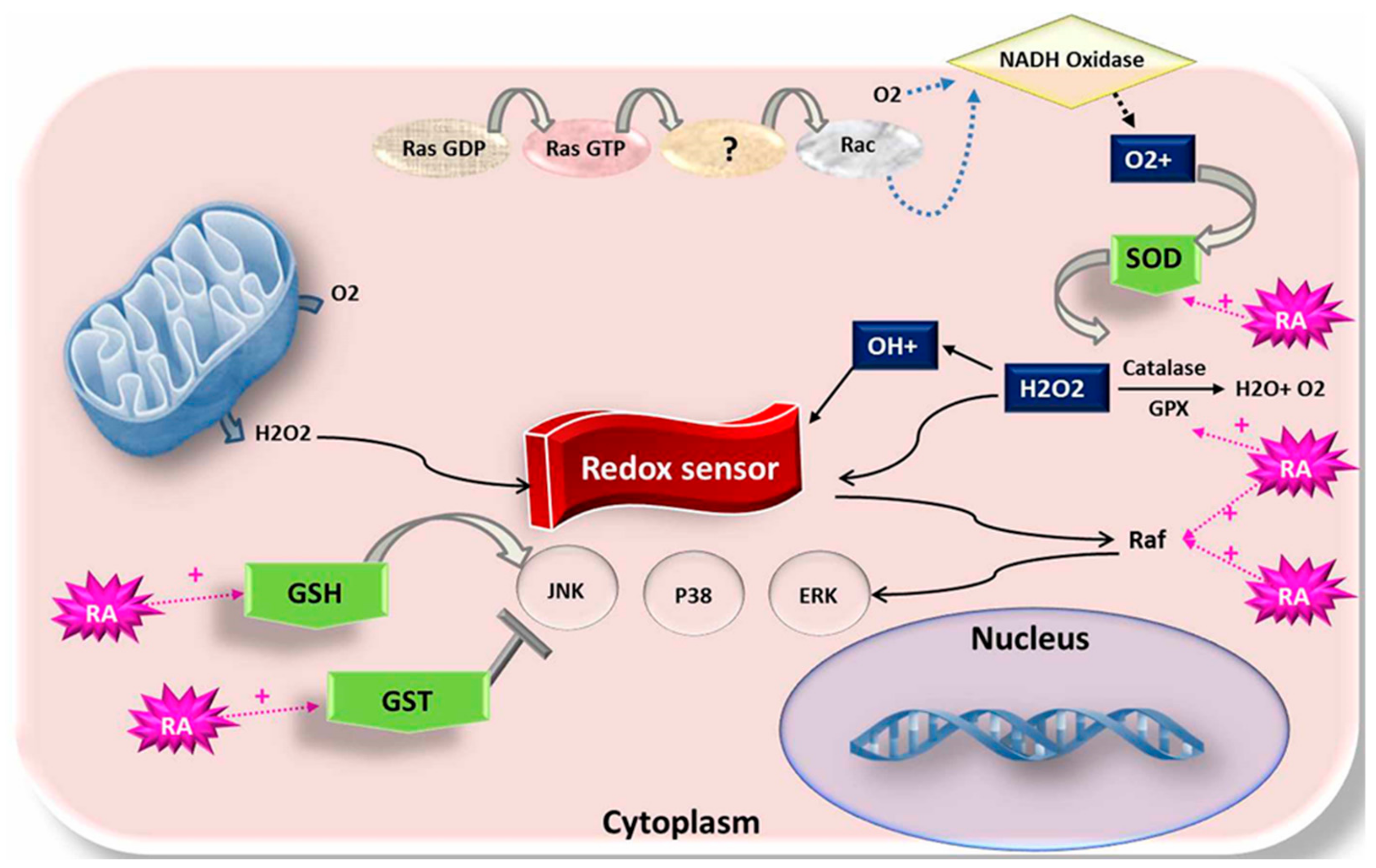 Animals 09 00561 g003 Animals 09 00561 g003
