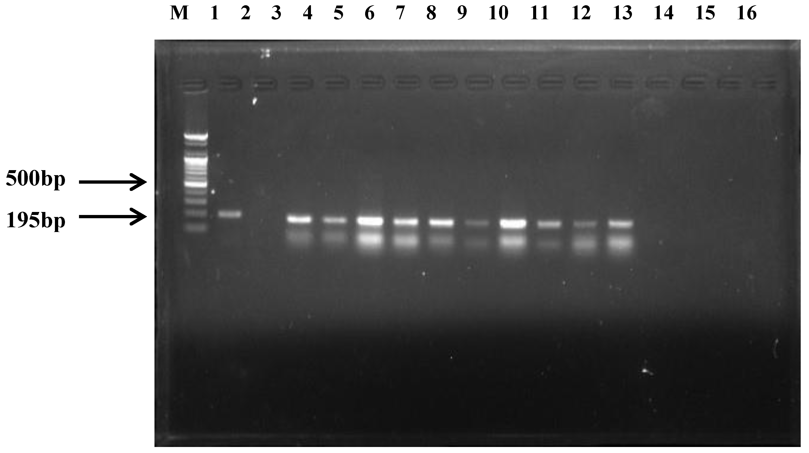 Animals 09 00579 g002 Animals 09 00579 g002