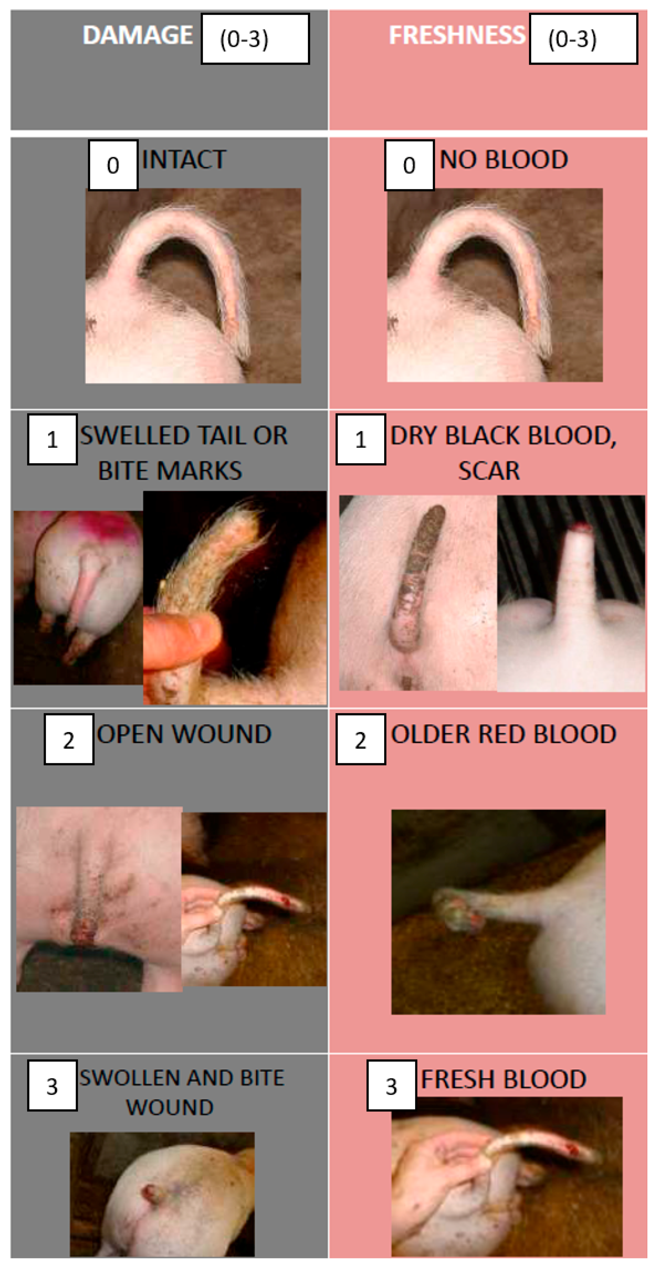 Animals 09 00582 g0a1