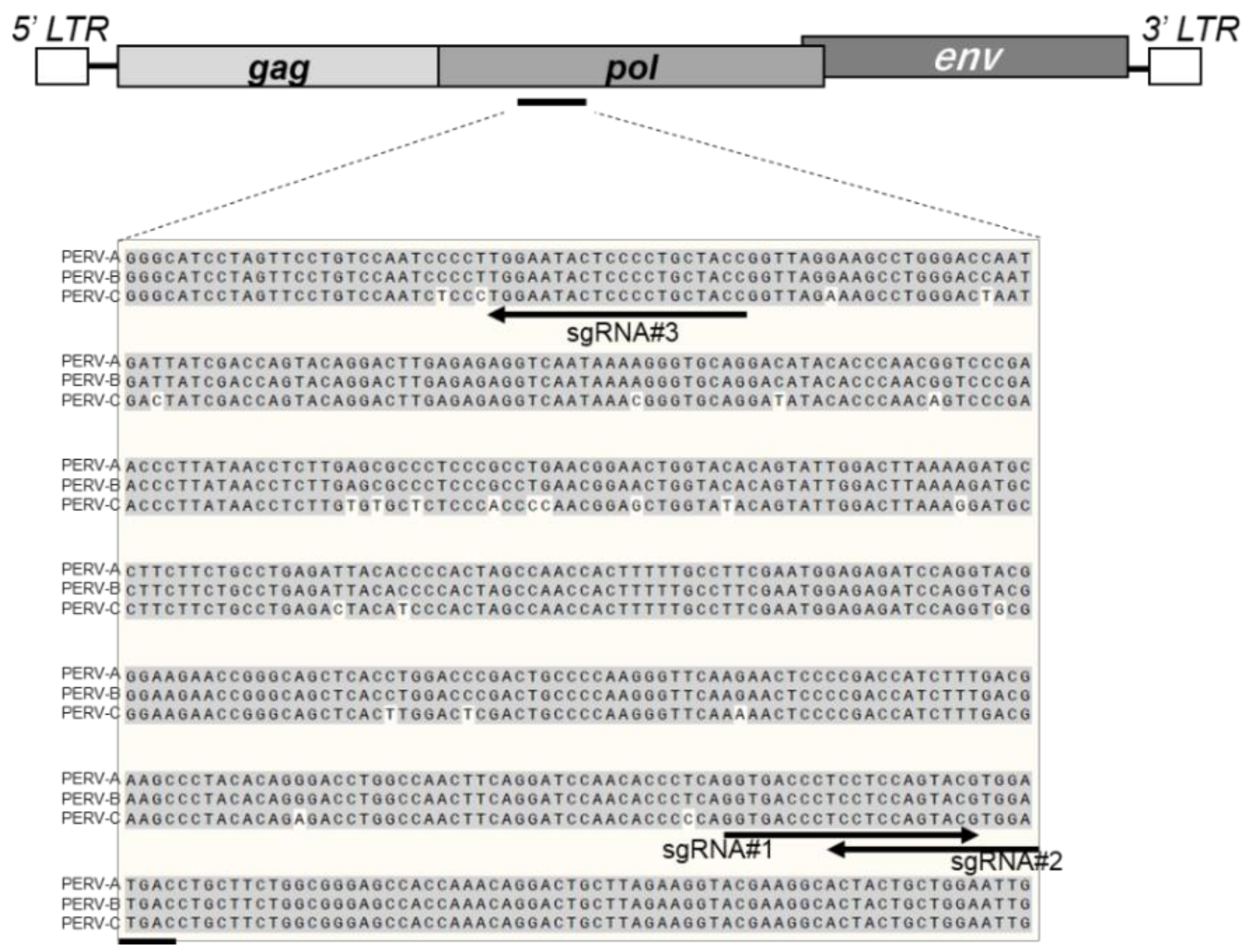 Animals 09 00593 g001