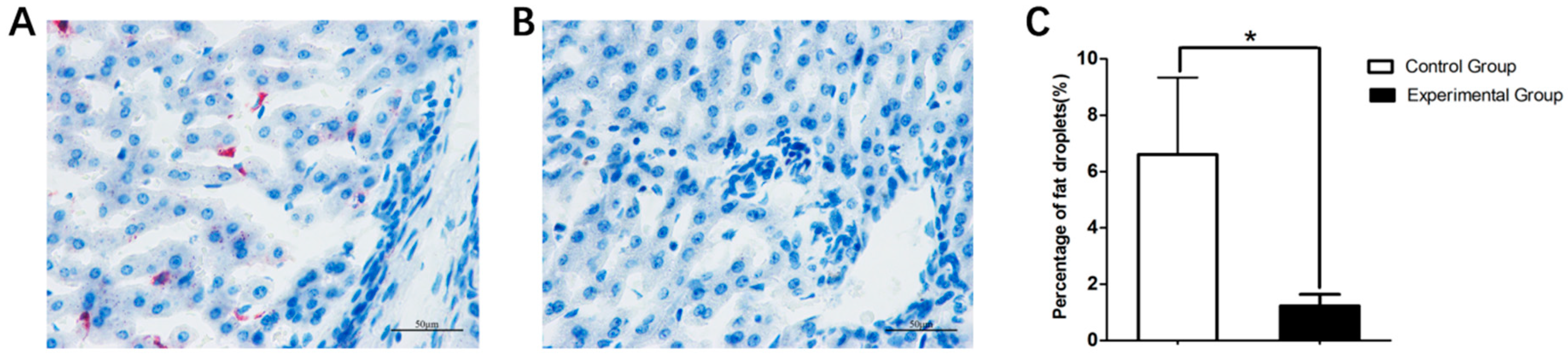 Animals 09 00648 g005