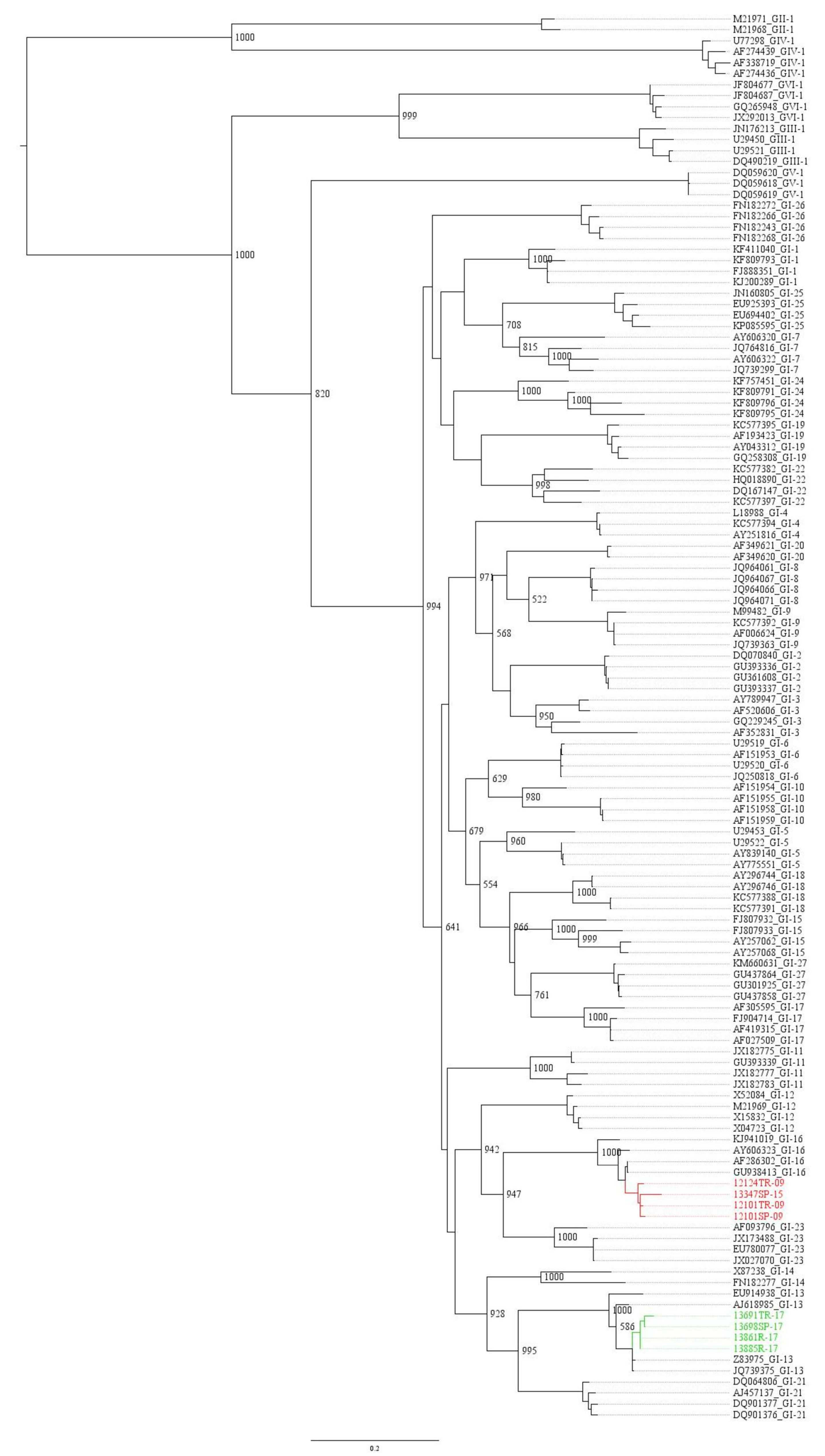 Download Diagram Of Genetic Drift Html Full Version Hd