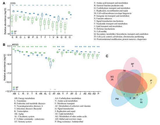 Animals Free Full Text A Comparative Metagenomics Study On Gastrointestinal Microbiota In Amphibious Mudskippers And Other Vertebrate Animals Html
