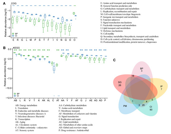 Animals Free Full Text A Comparative Metagenomics Study On Gastrointestinal Microbiota In Amphibious Mudskippers And Other Vertebrate Animals Html