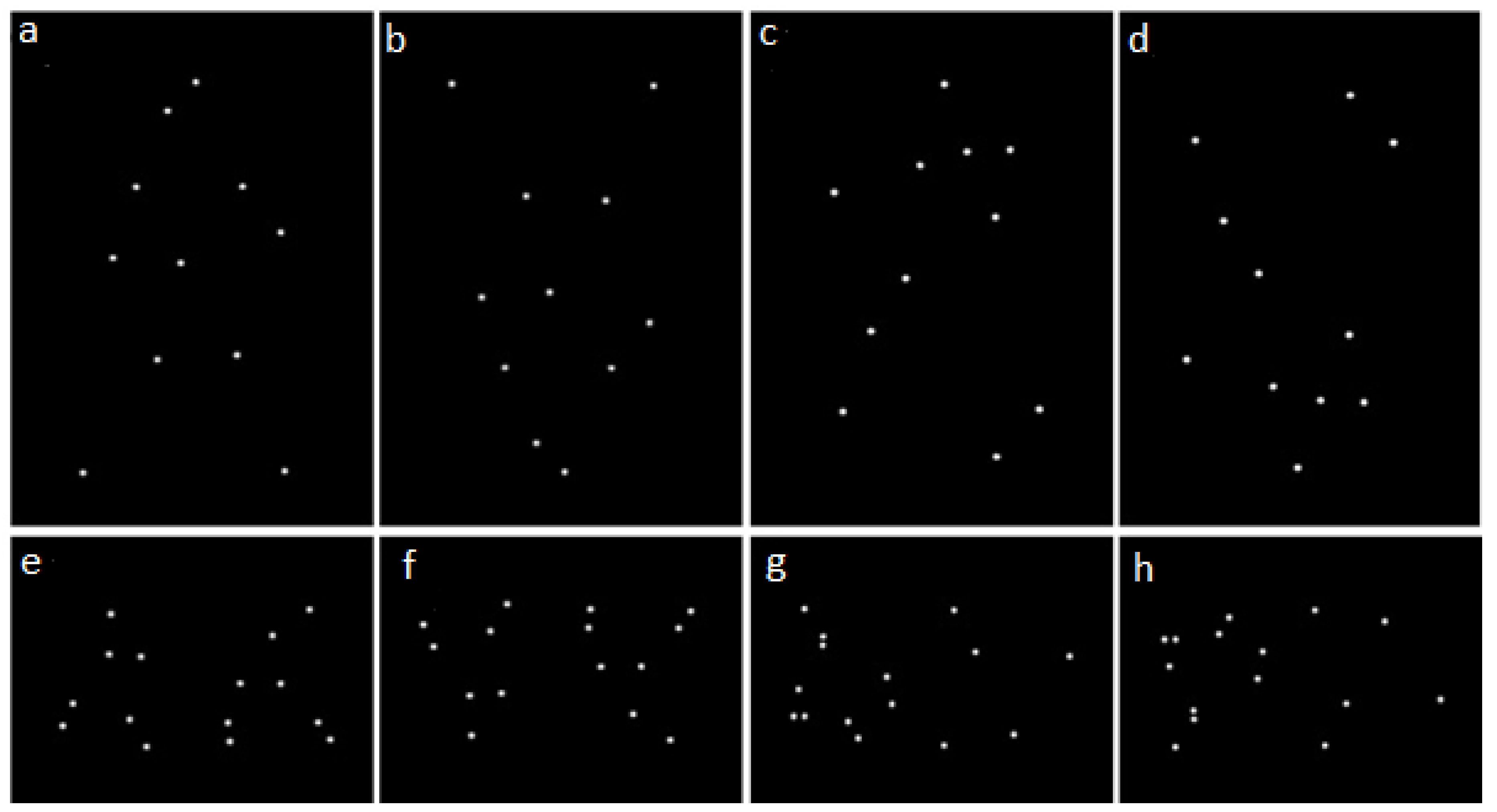 Animals 09 00661 g001