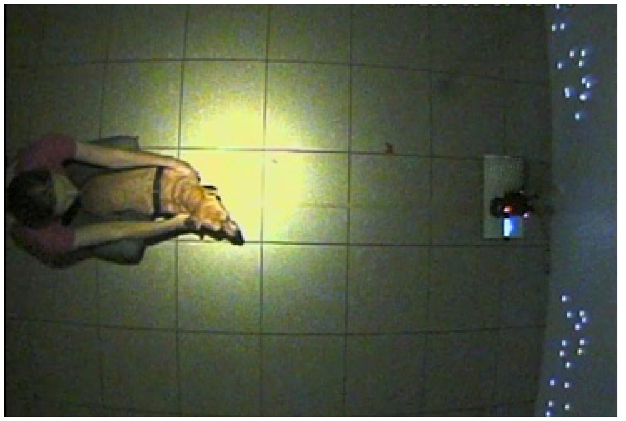 Animals 09 00661 g002