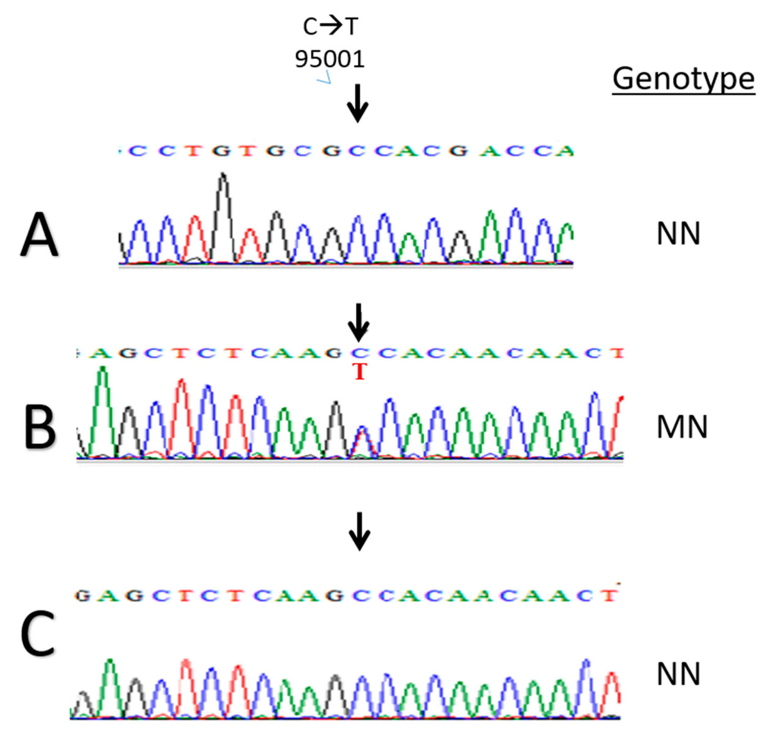 Animals 09 00667 g001