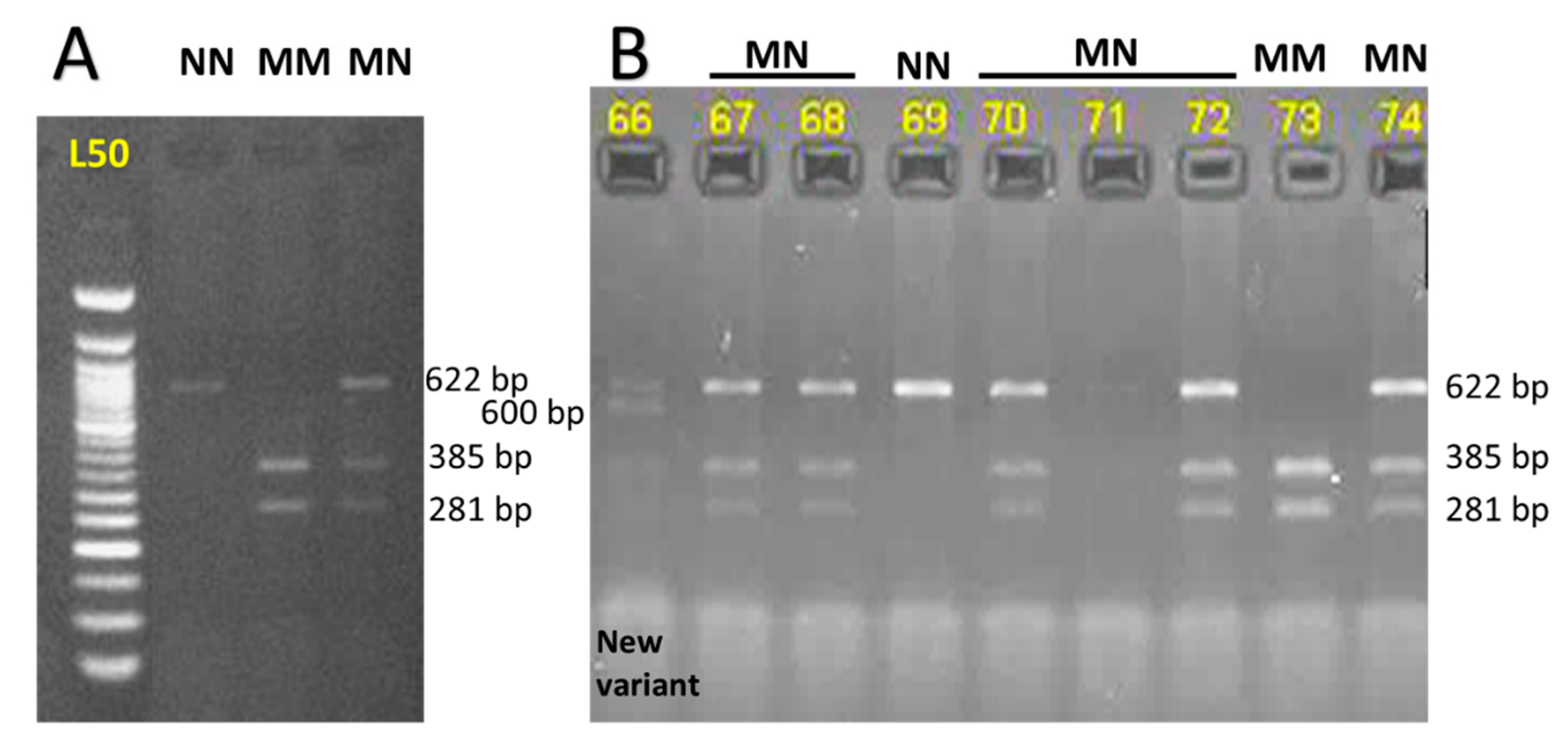 Animals 09 00667 g002