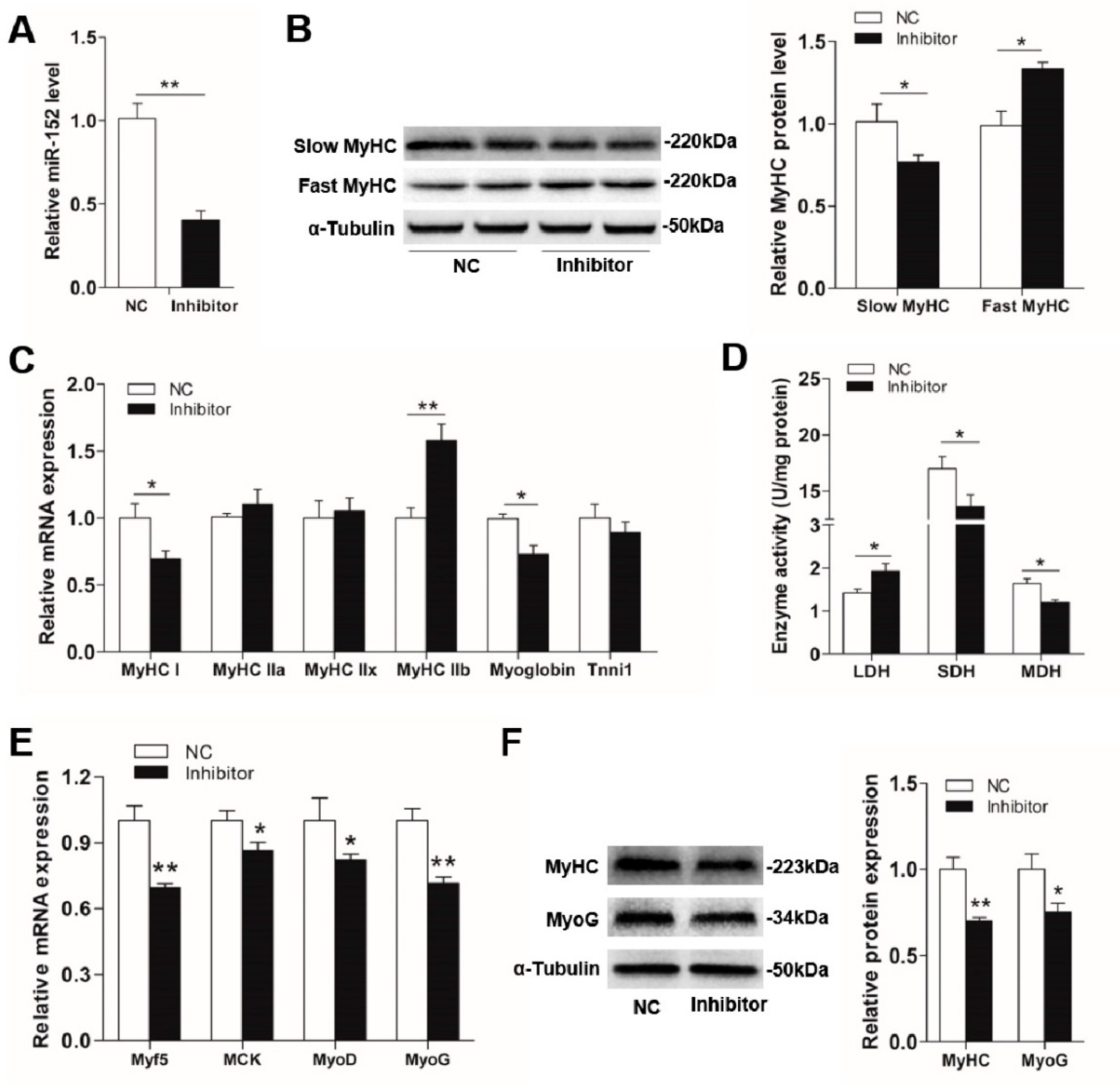 Animals 09 00669 g003