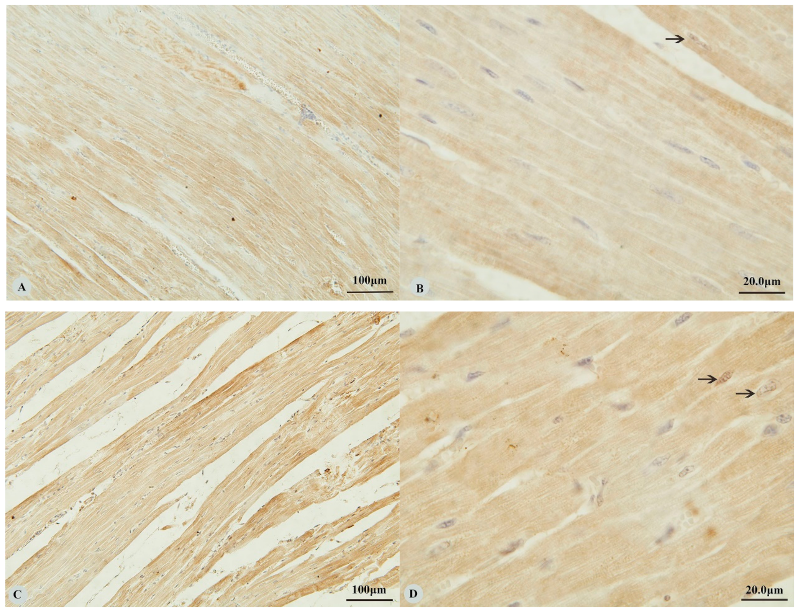 Animals 09 00673 g001a