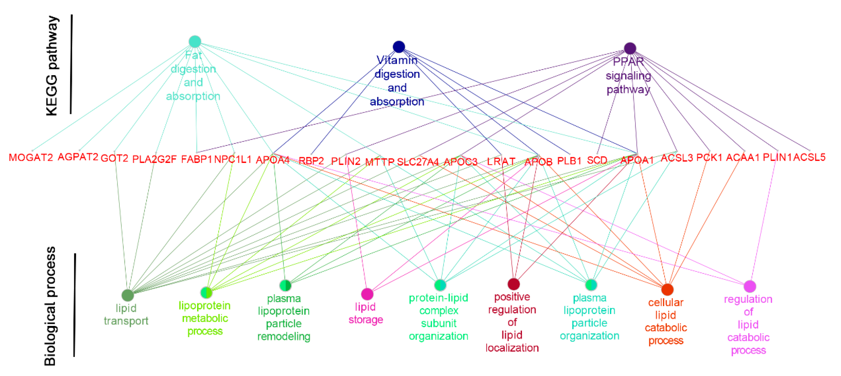Animals 09 00675 g003