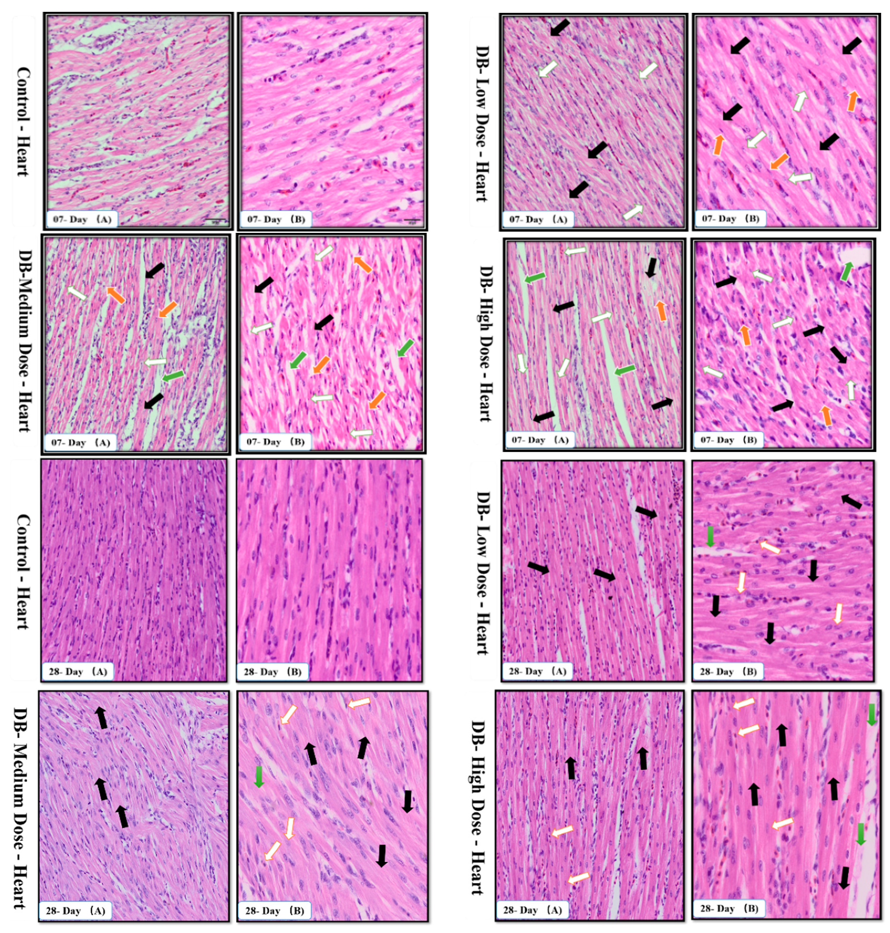 Animals 09 00701 g002