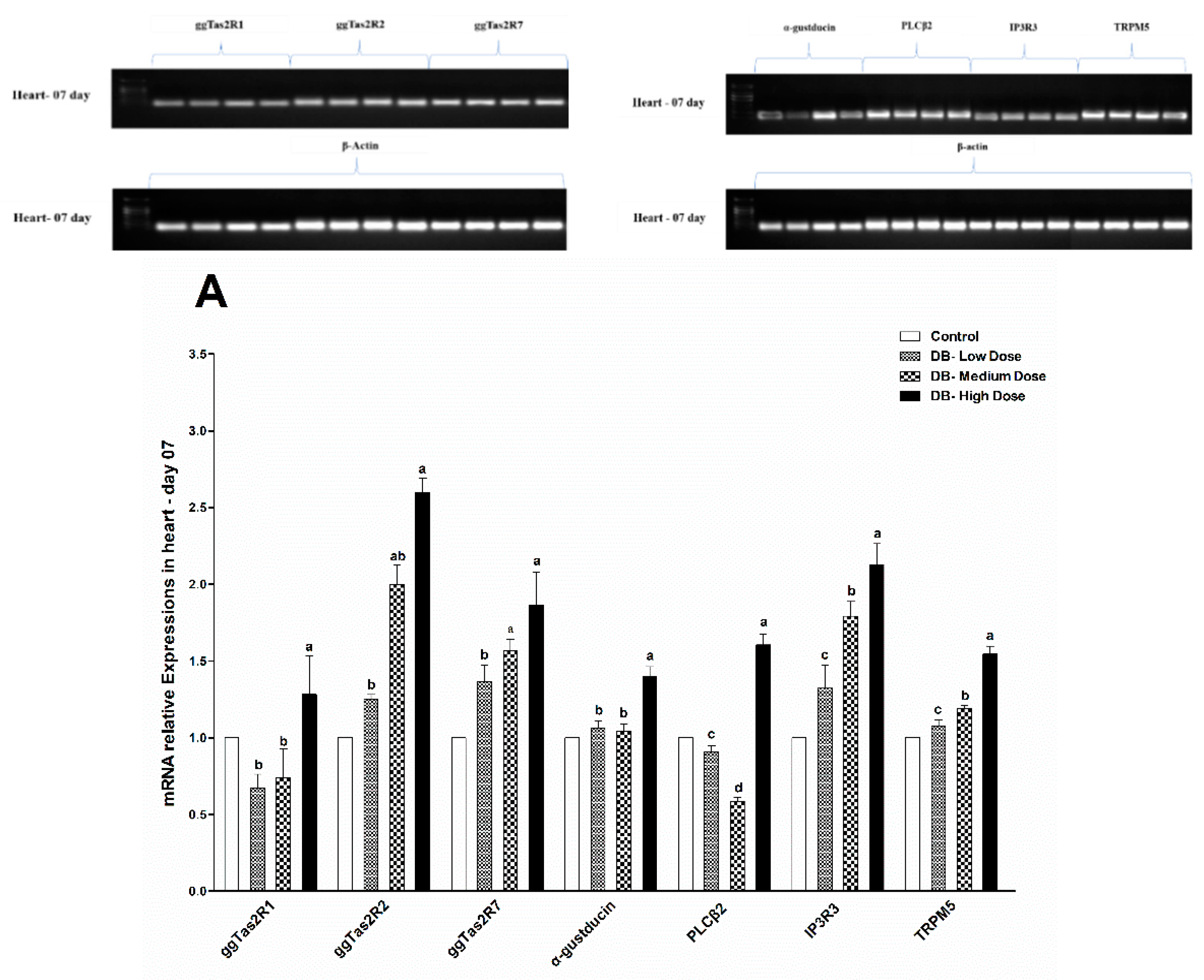 Animals 09 00701 g005a