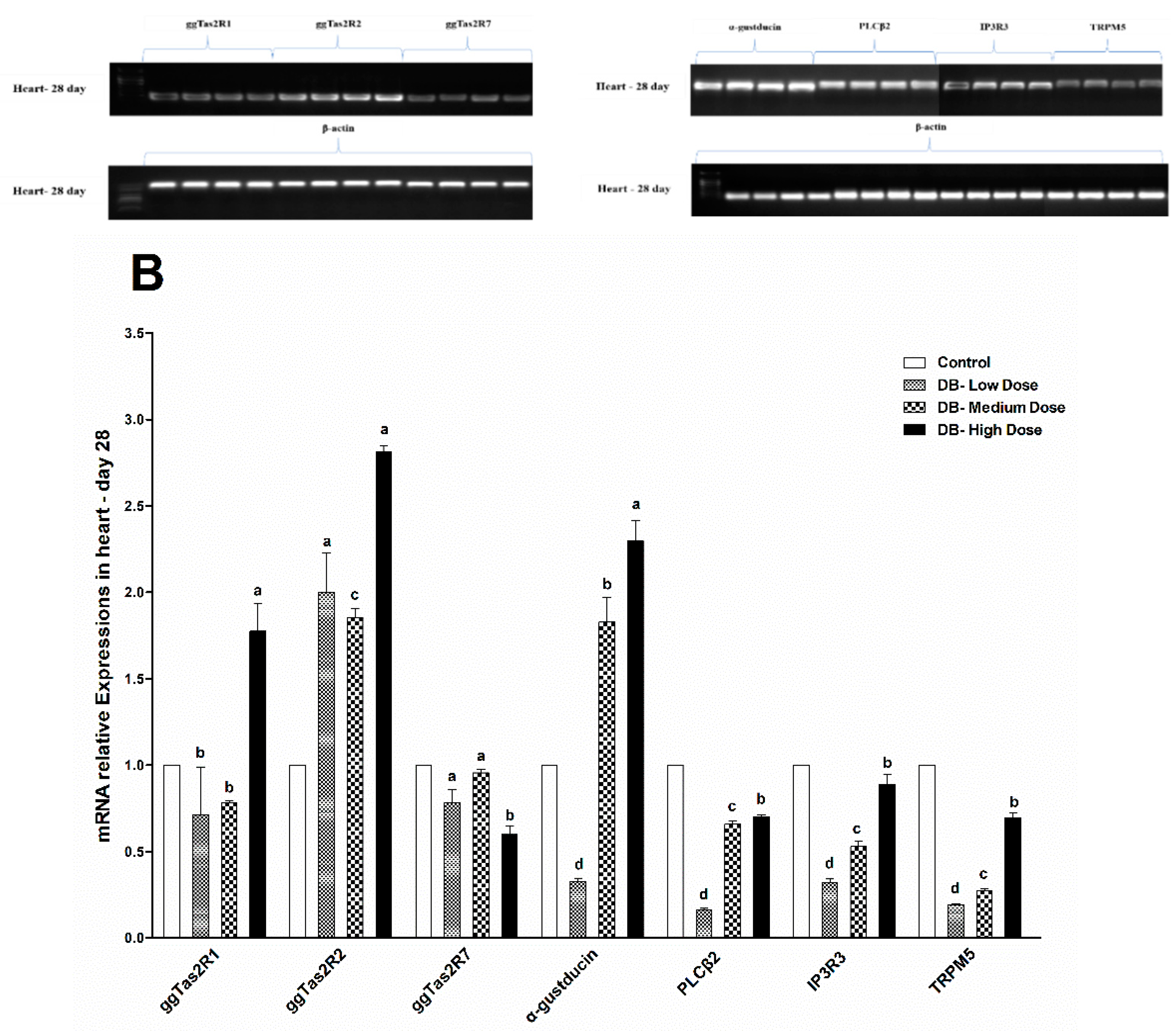 Animals 09 00701 g005b