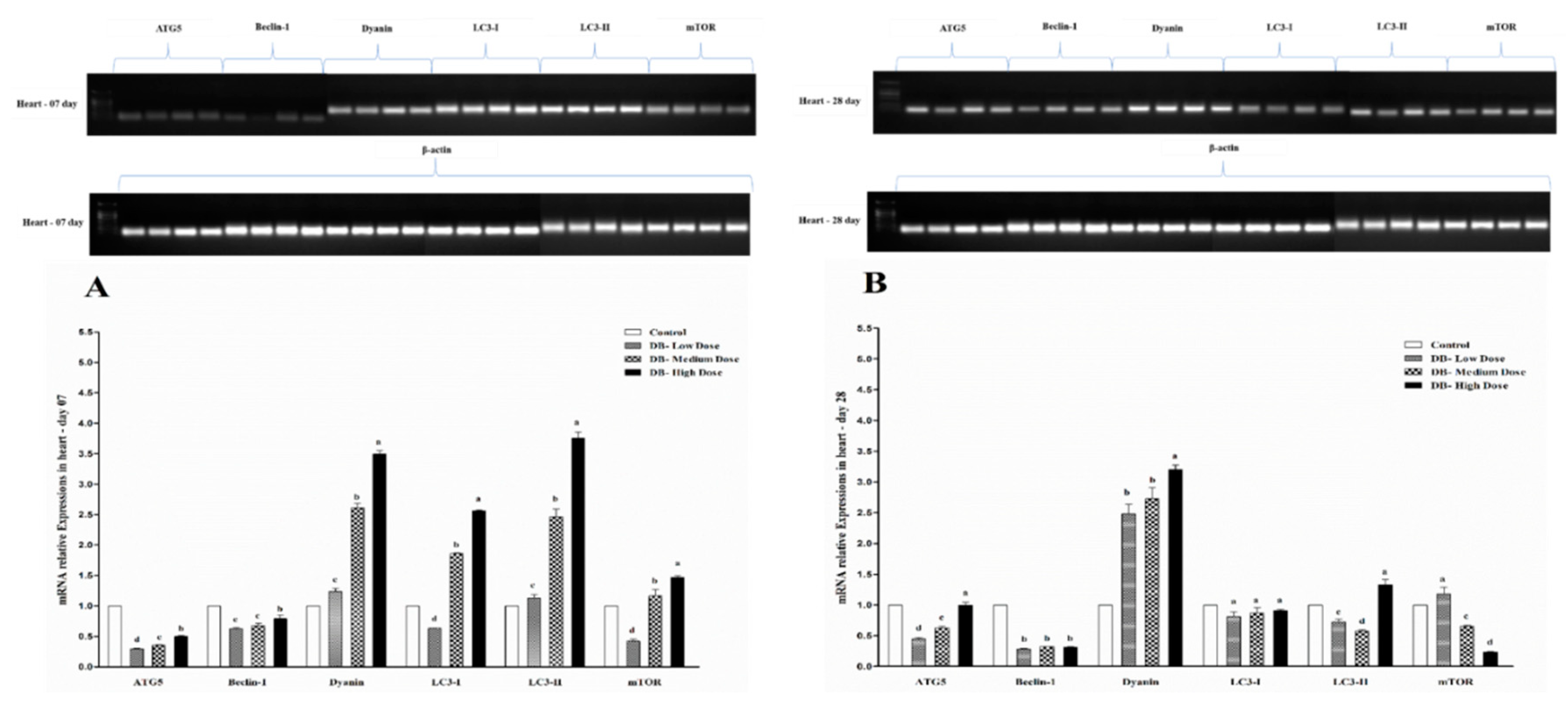 Animals 09 00701 g009