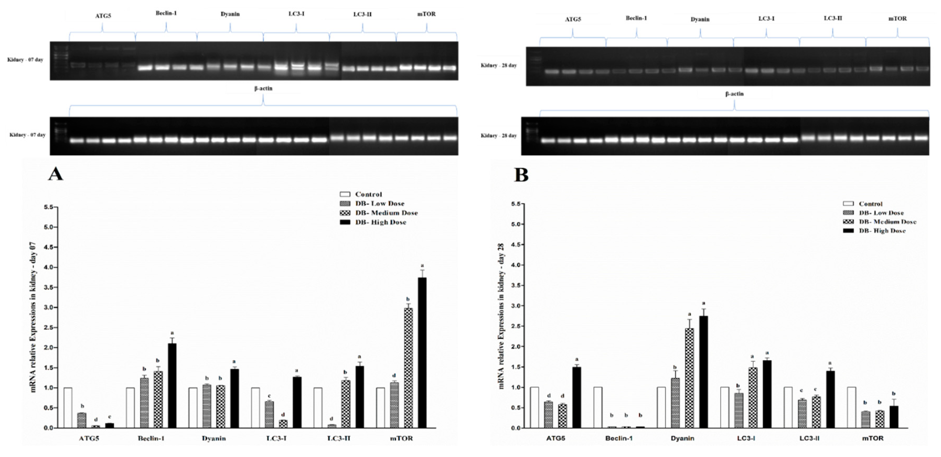 Animals 09 00701 g010