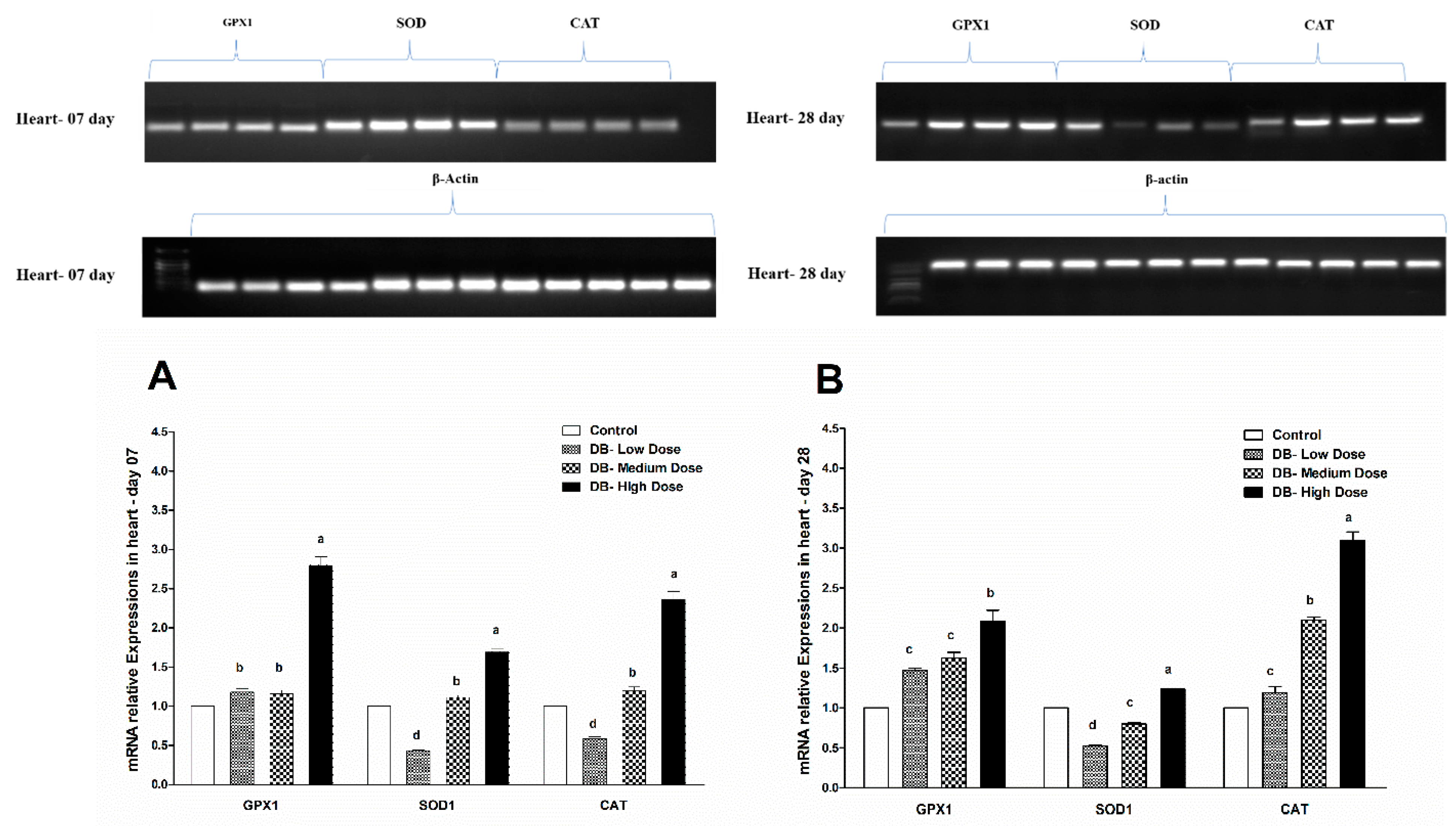 Animals 09 00701 g011