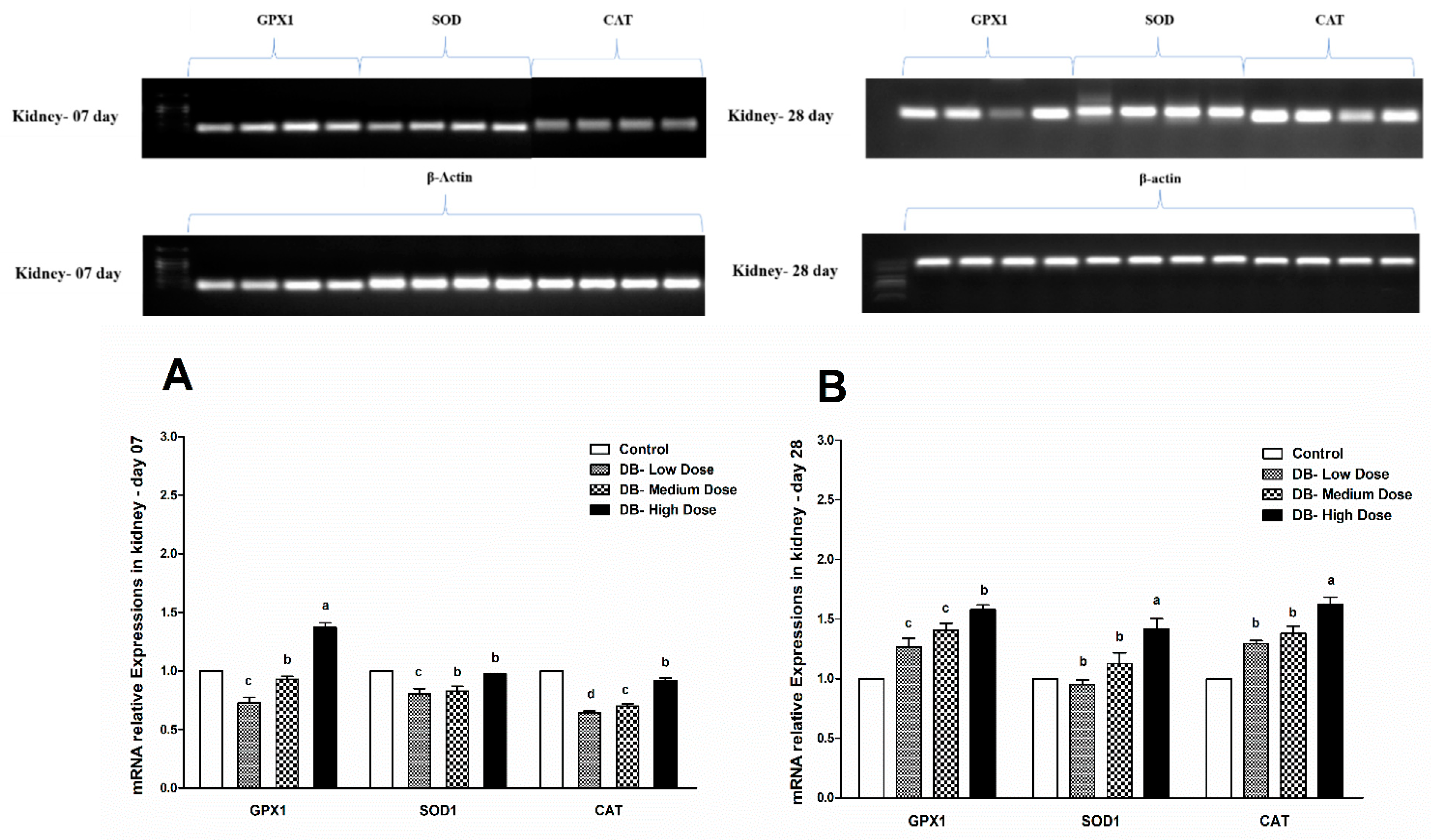 Animals 09 00701 g012