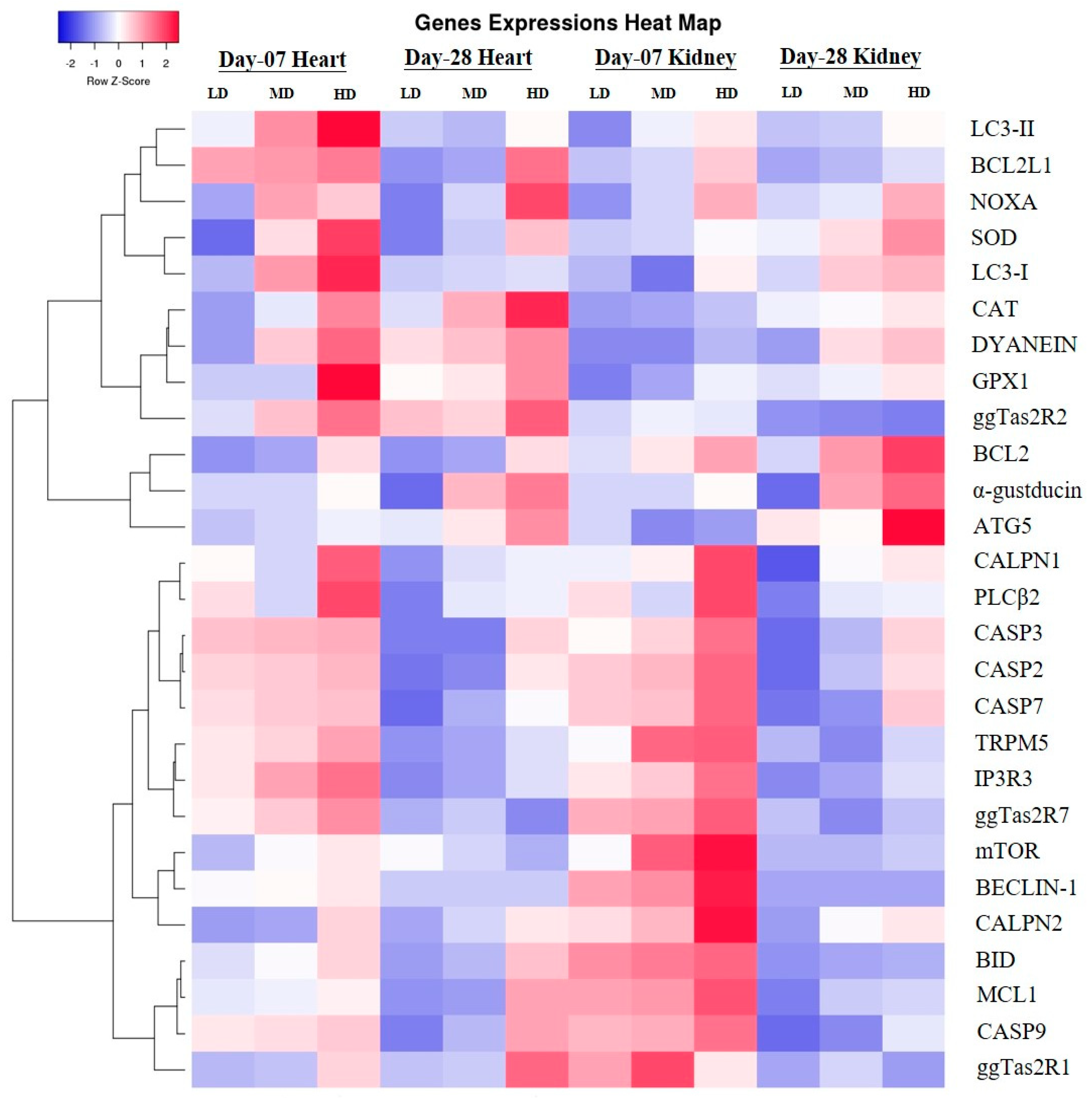 Animals 09 00701 g013