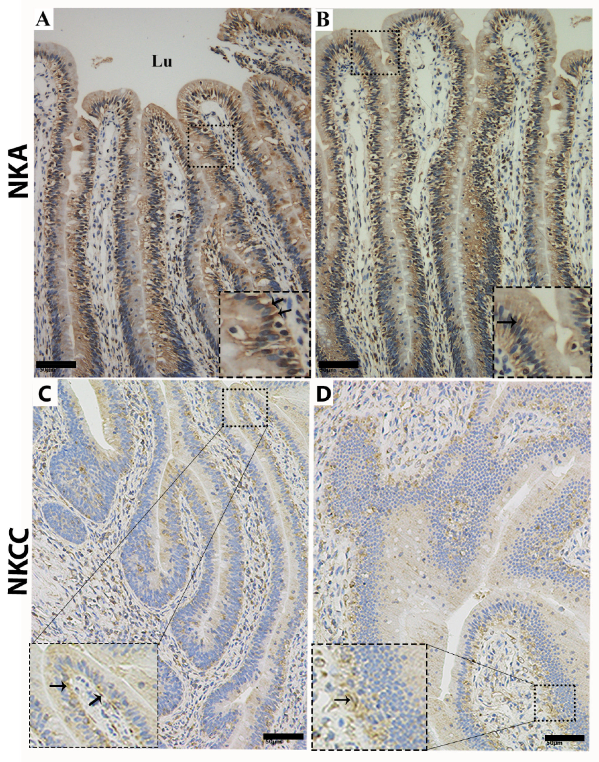 Animals 09 00717 g005