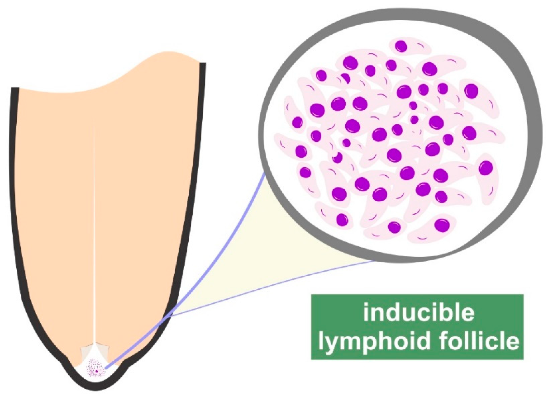 Animals 09 00726 g001