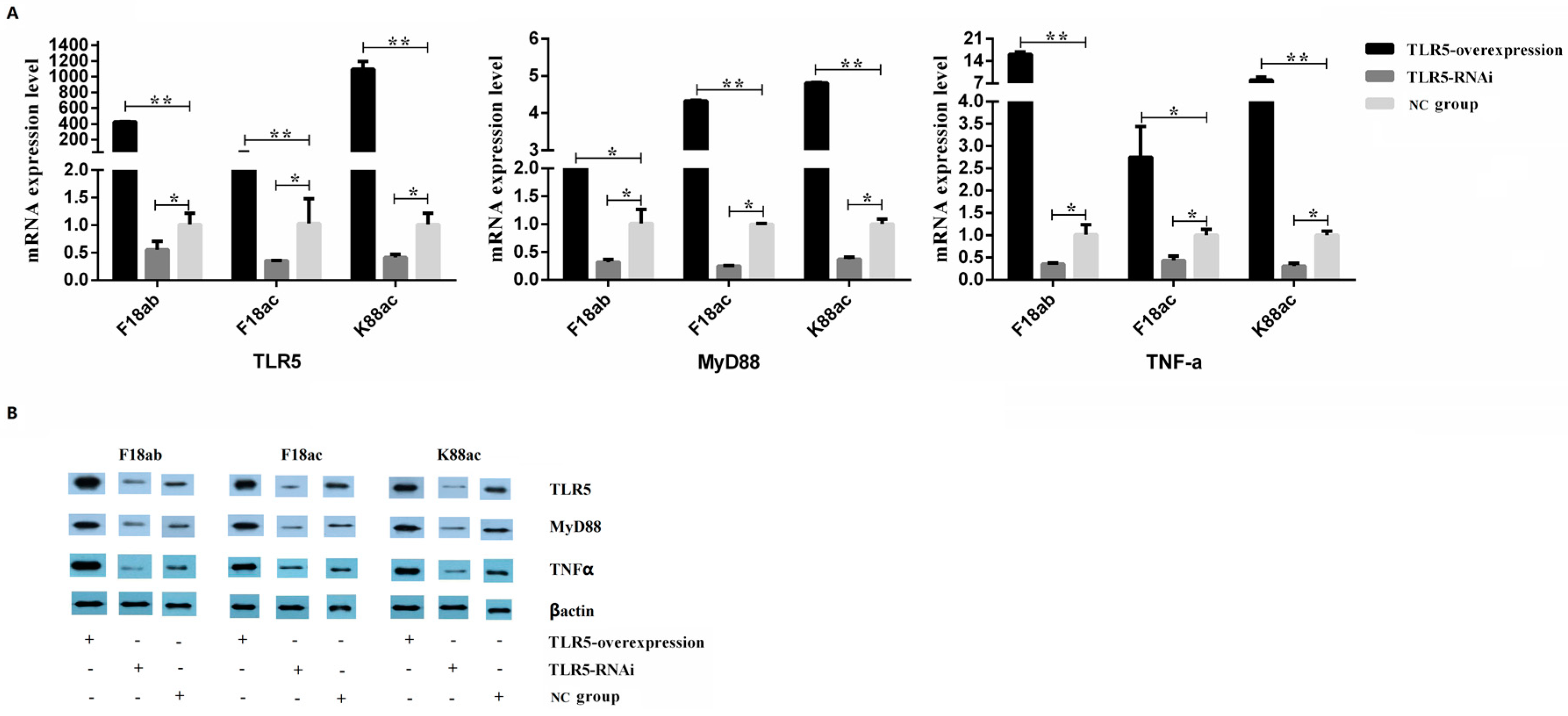 Animals 09 00735 g003