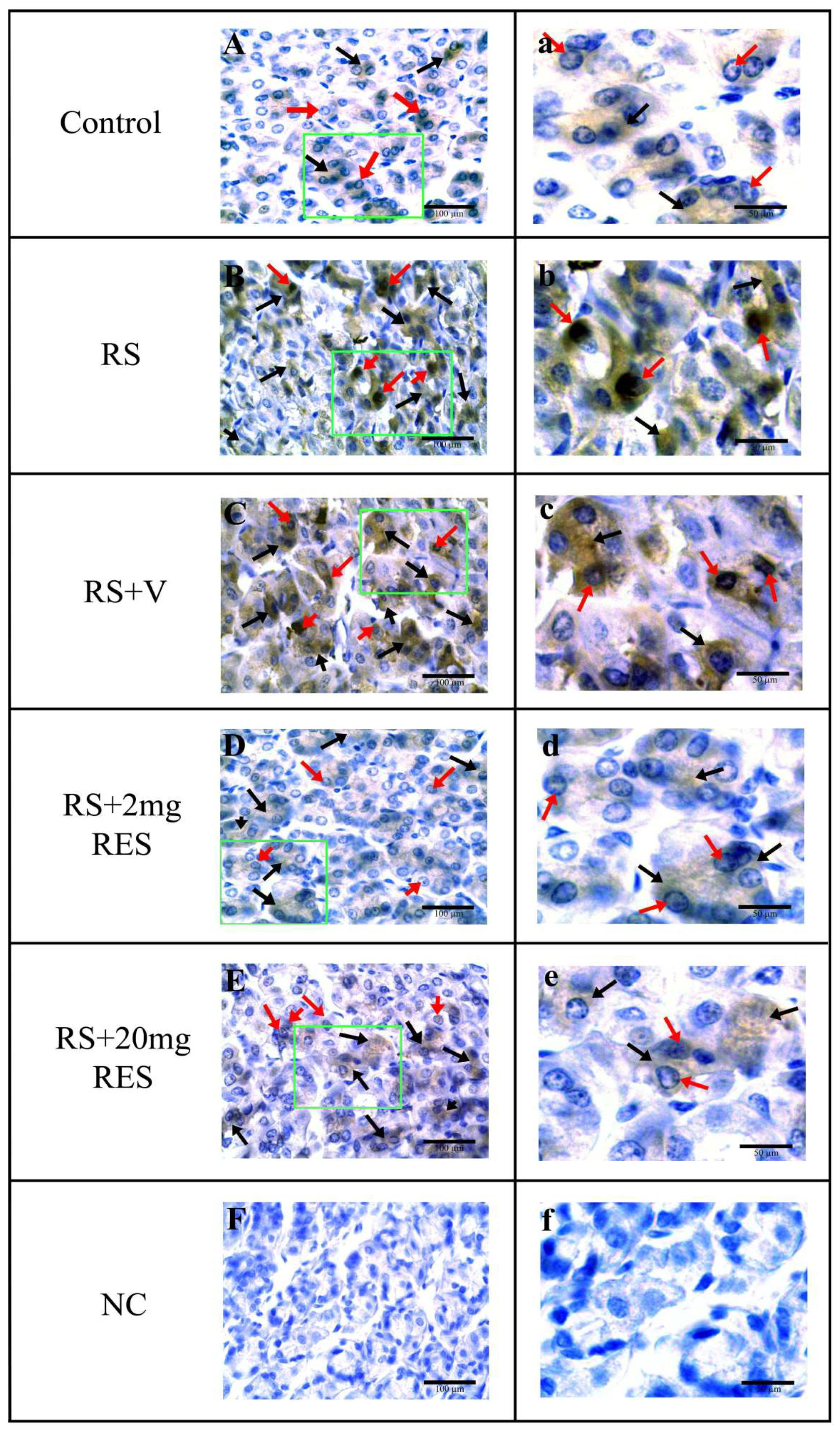 Animals 09 00736 g006 Animals 09 00736 g006