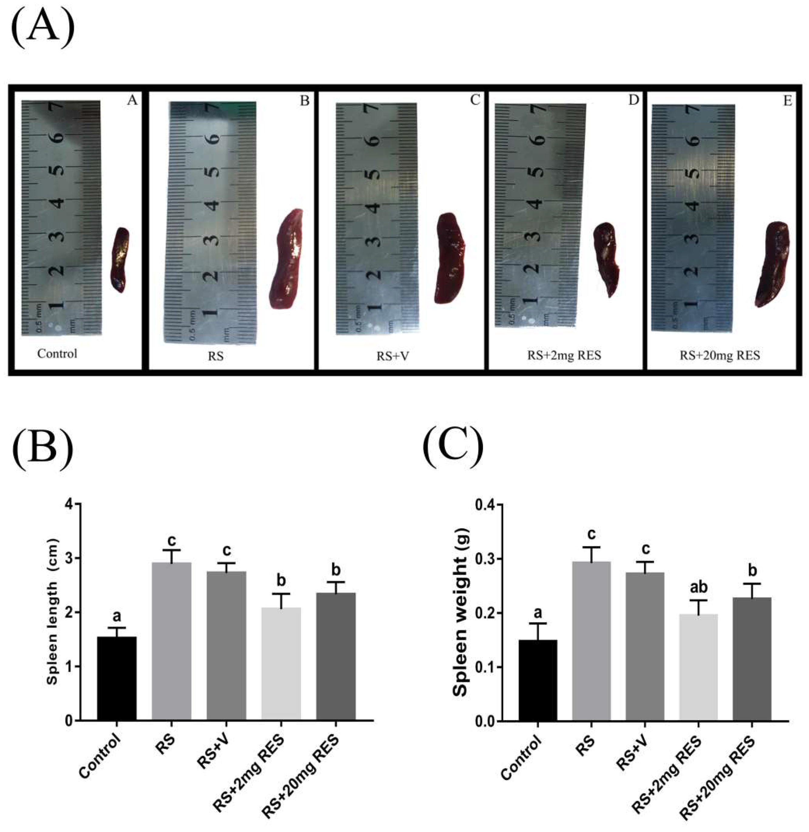 Animals 09 00736 g008 Animals 09 00736 g008