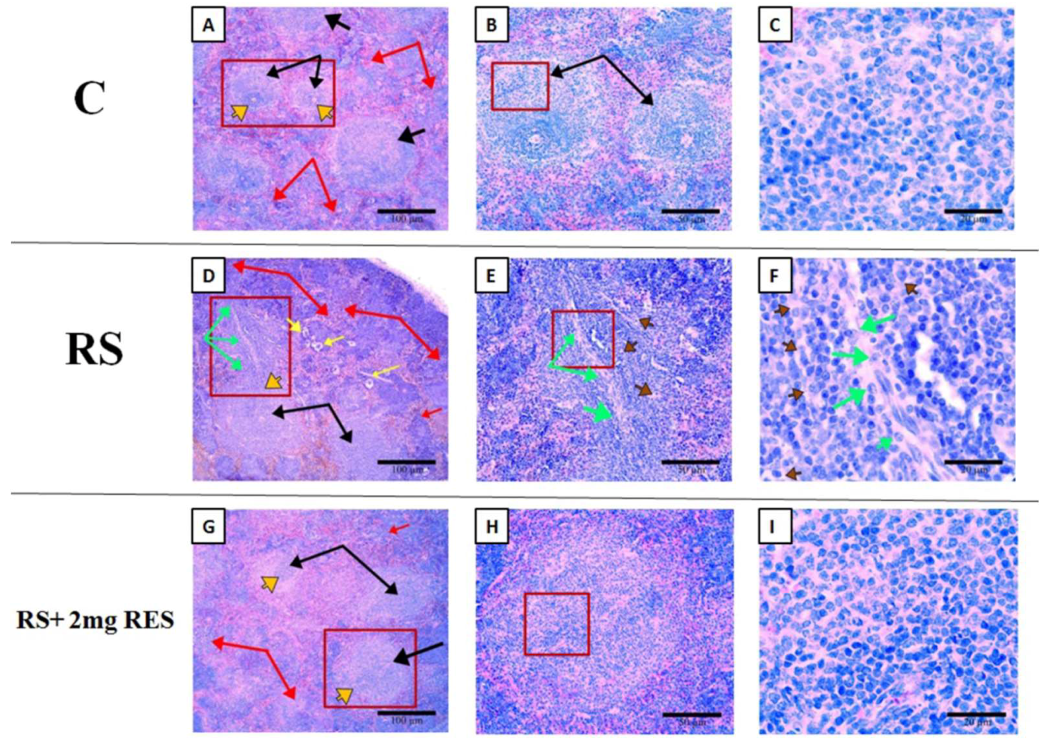 Animals 09 00736 g009 Animals 09 00736 g009