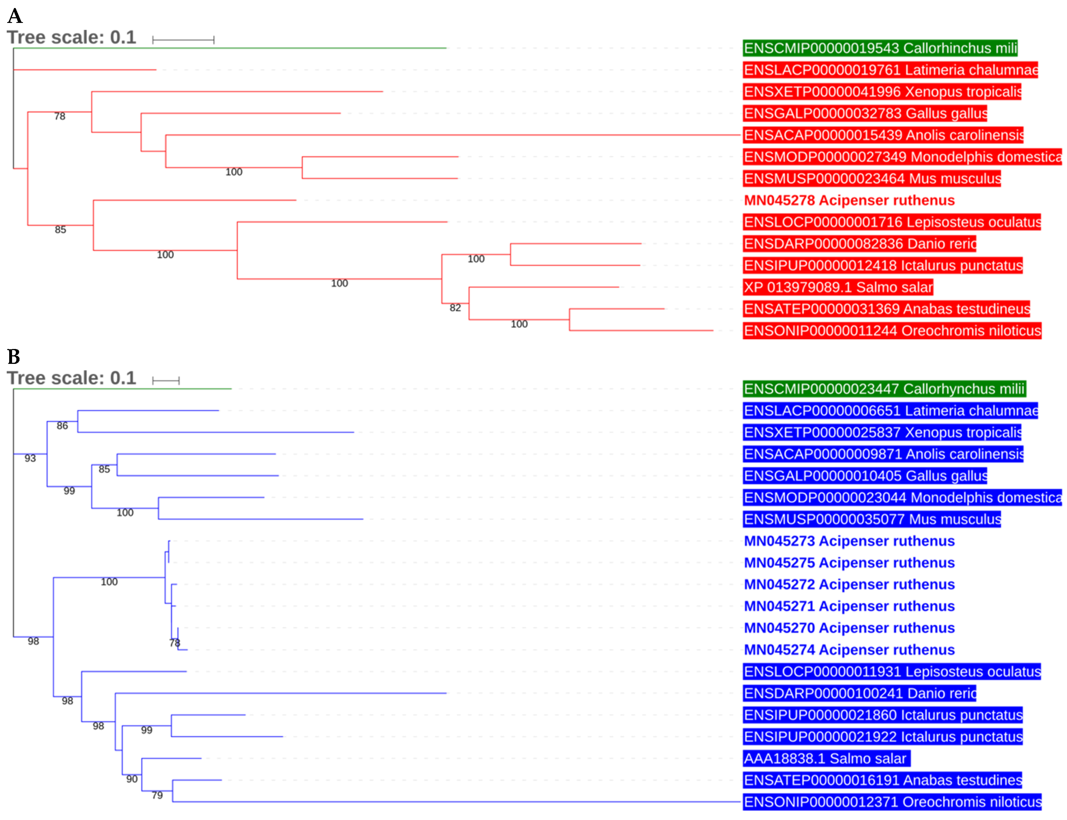 Animals 09 00753 g002