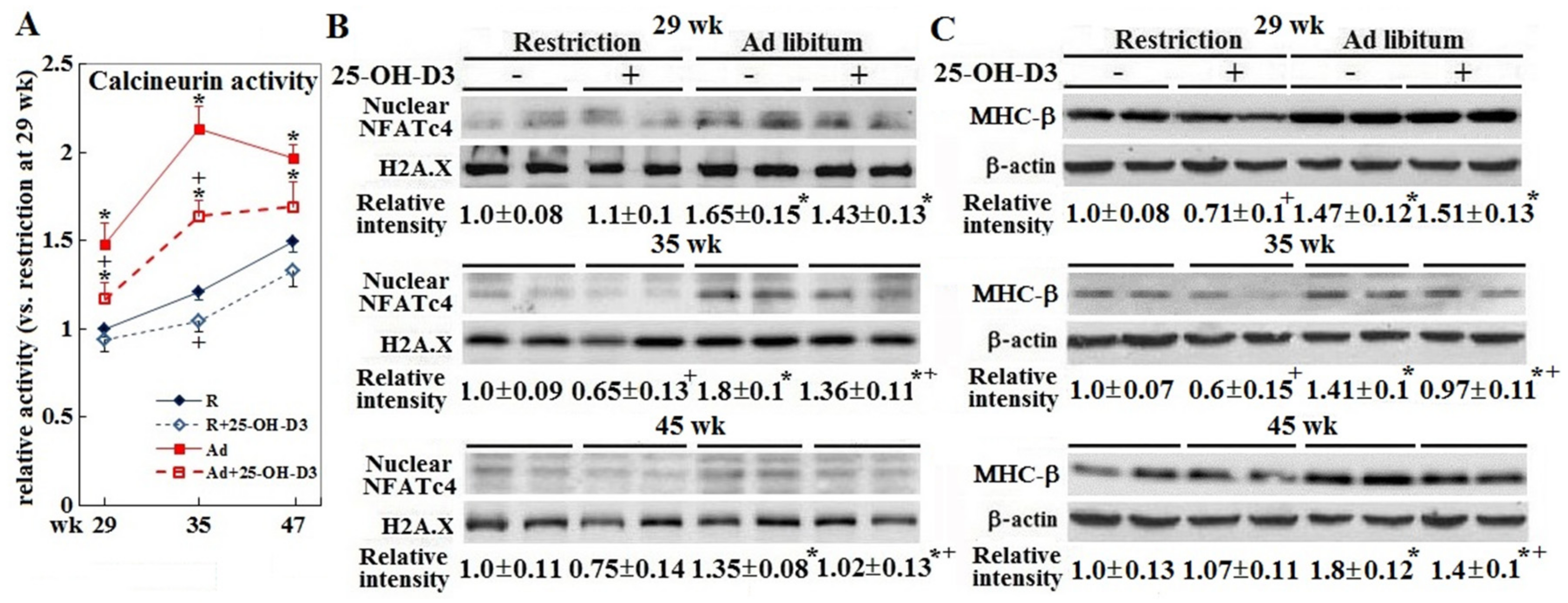 Animals 09 00770 g004 Animals 09 00770 g004