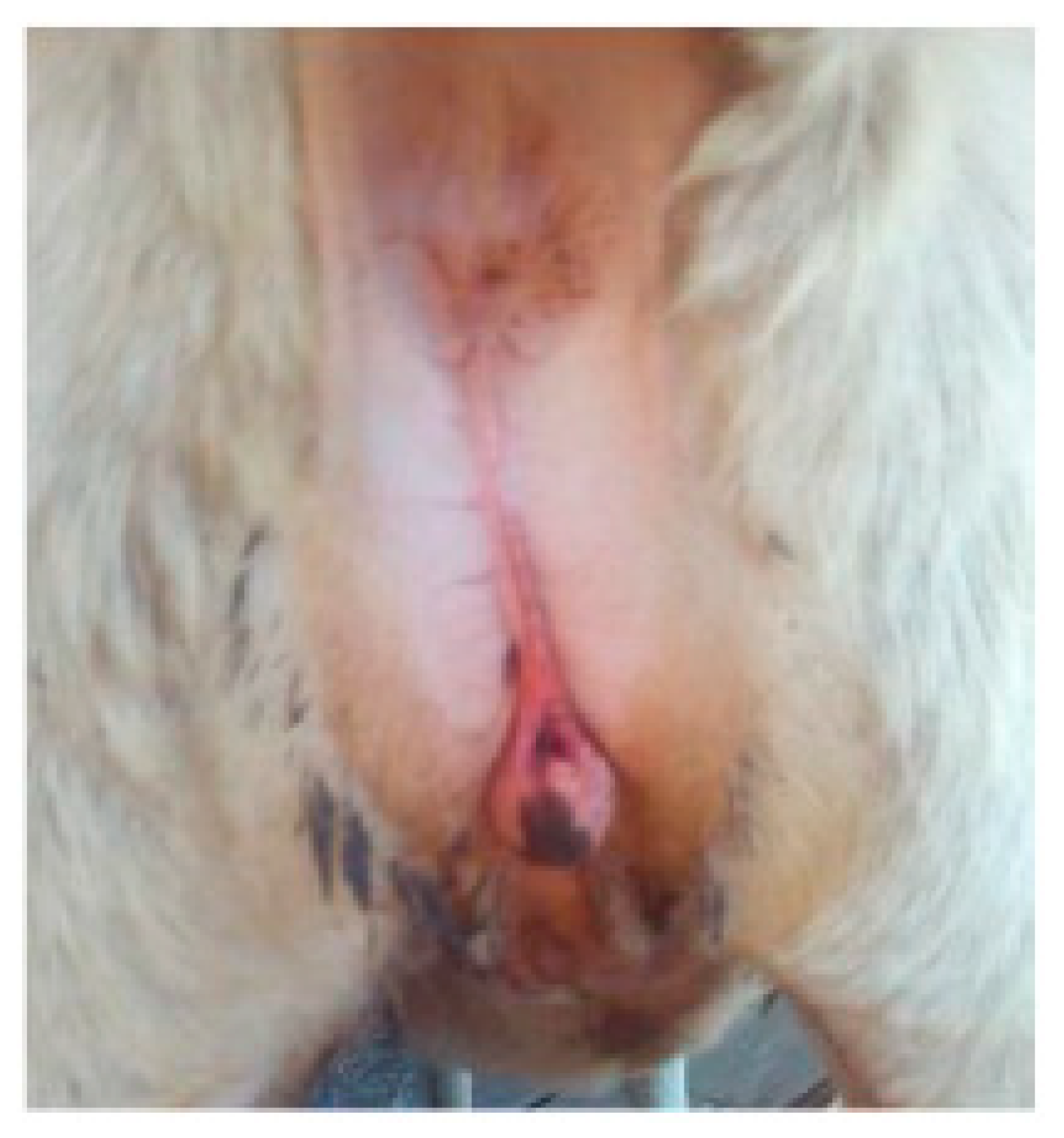 Animals 09 00776 g003