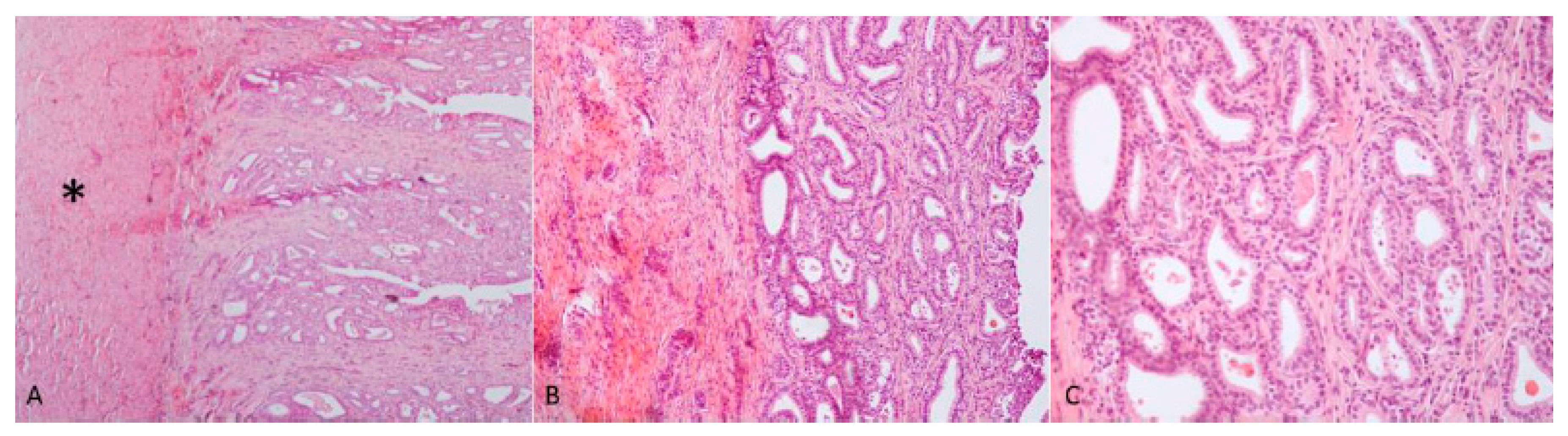 Animals 09 00776 g006