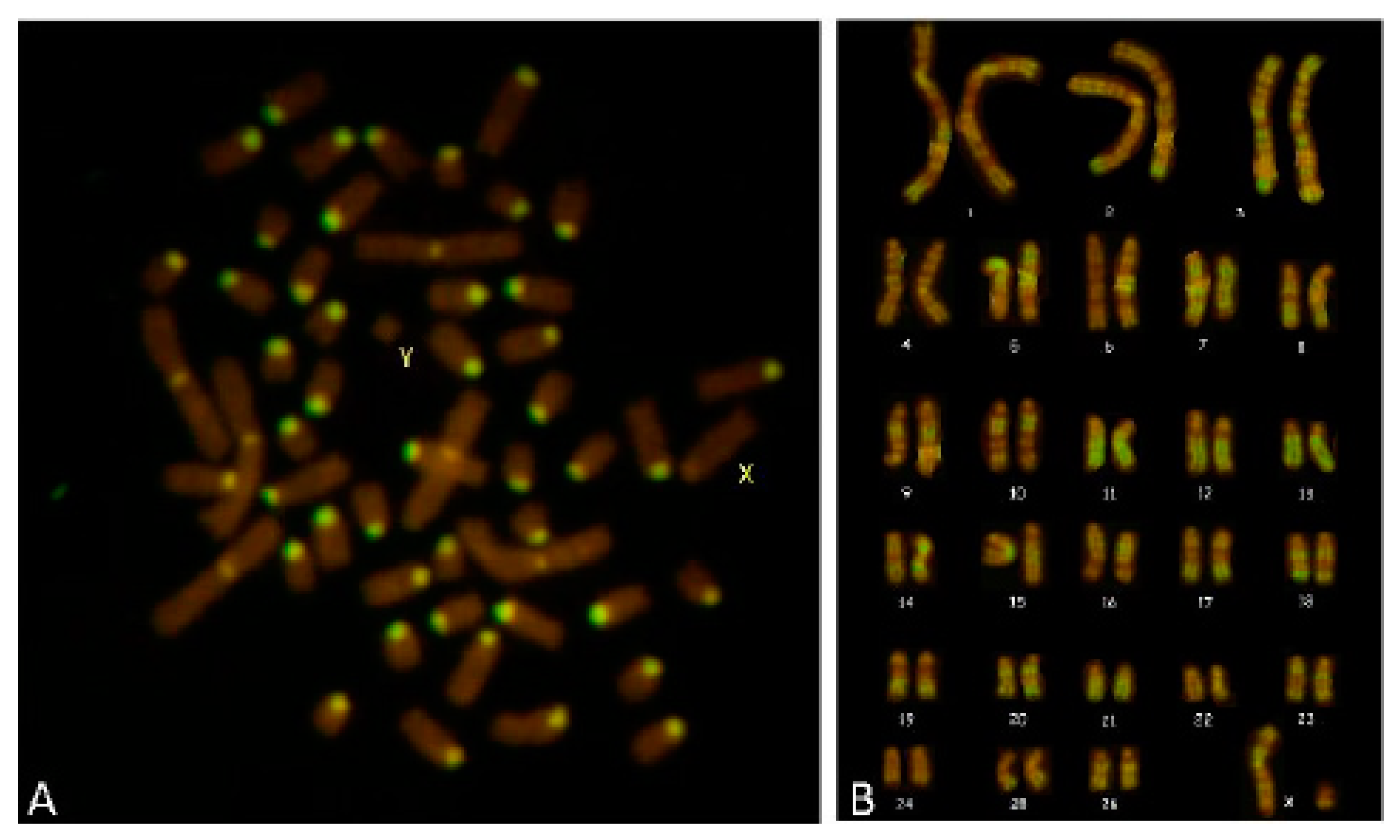 Animals 09 00776 g007