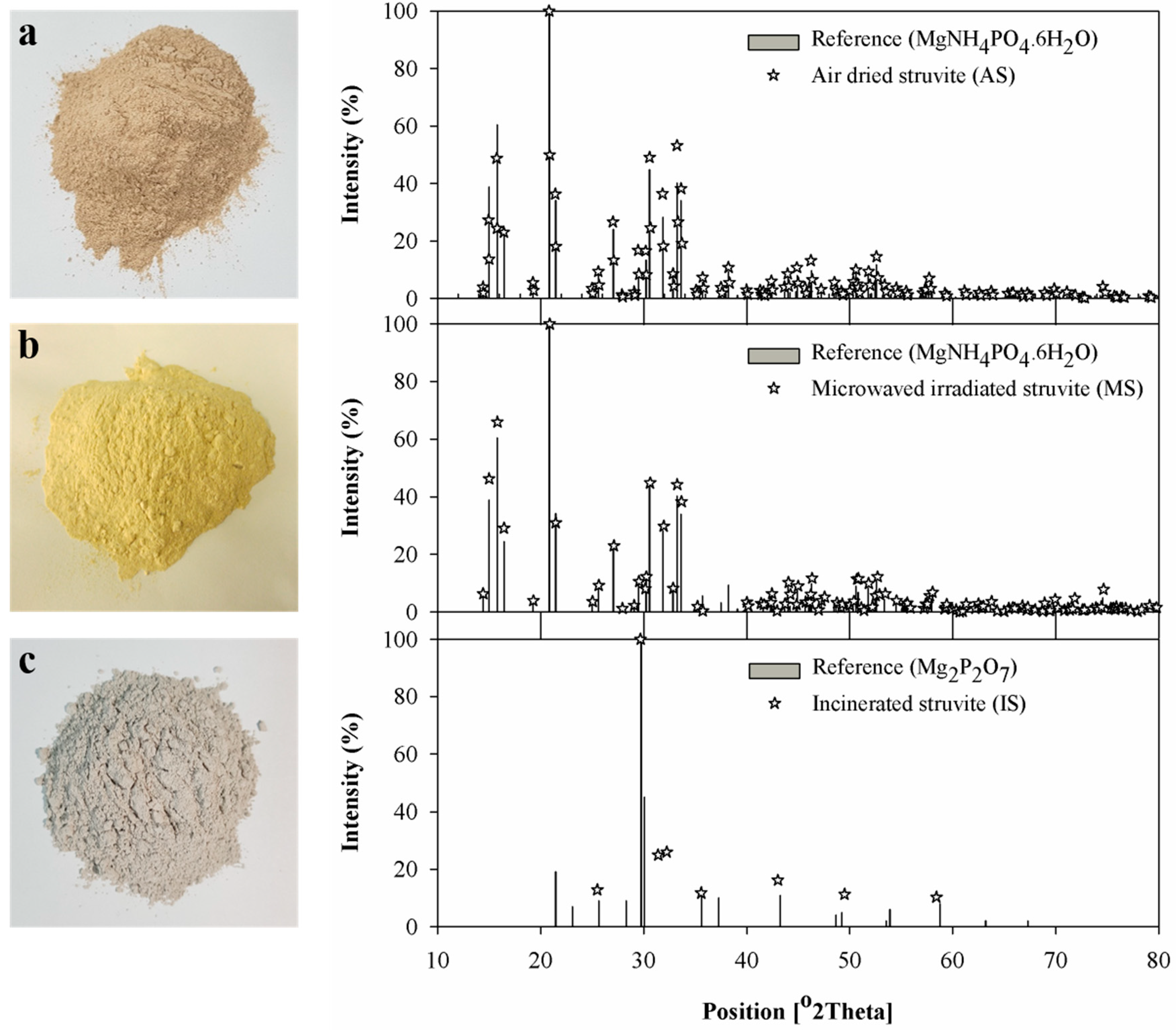 Animals 09 00785 g001