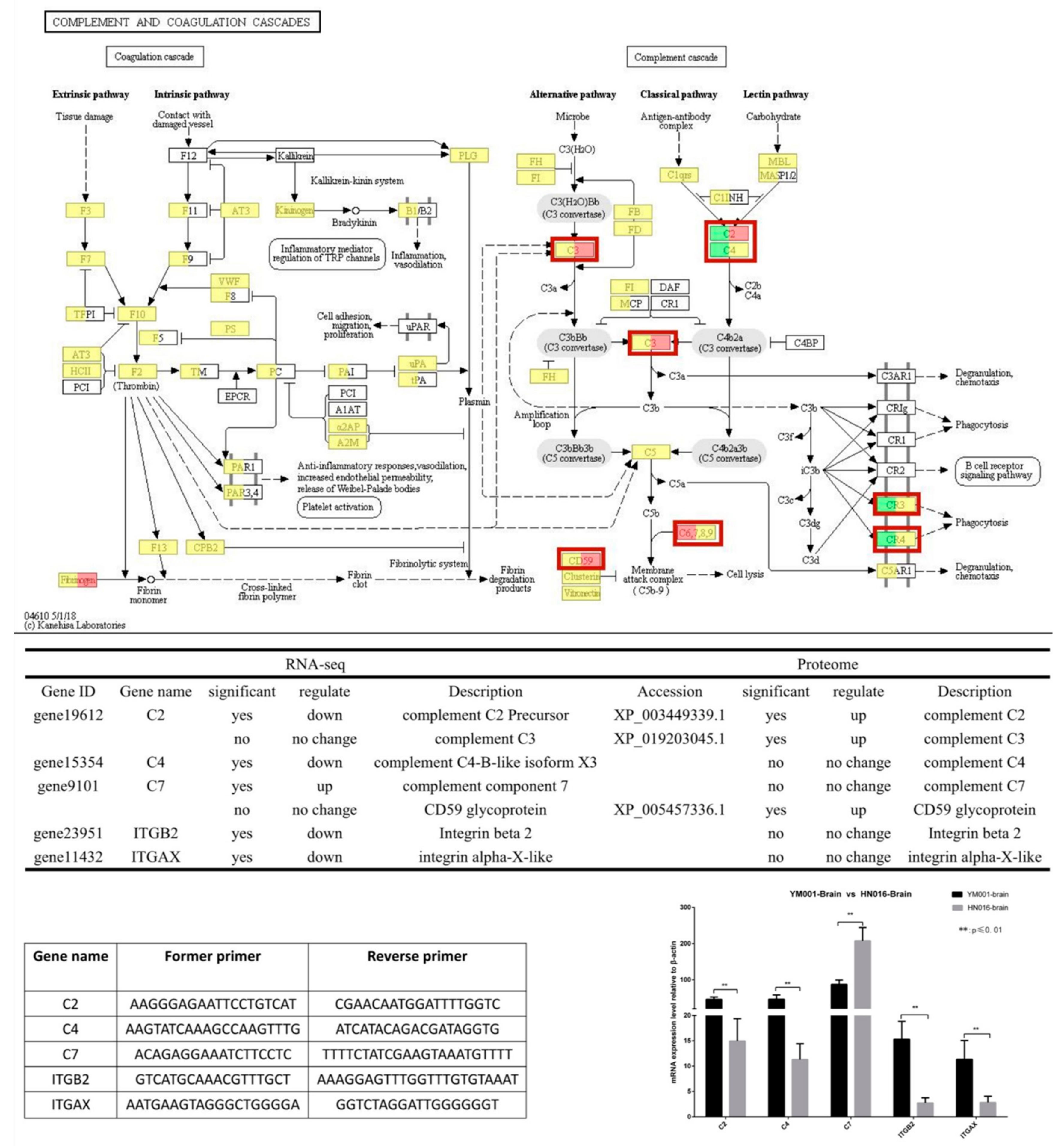 Animals 09 00818 g007 Animals 09 00818 g007