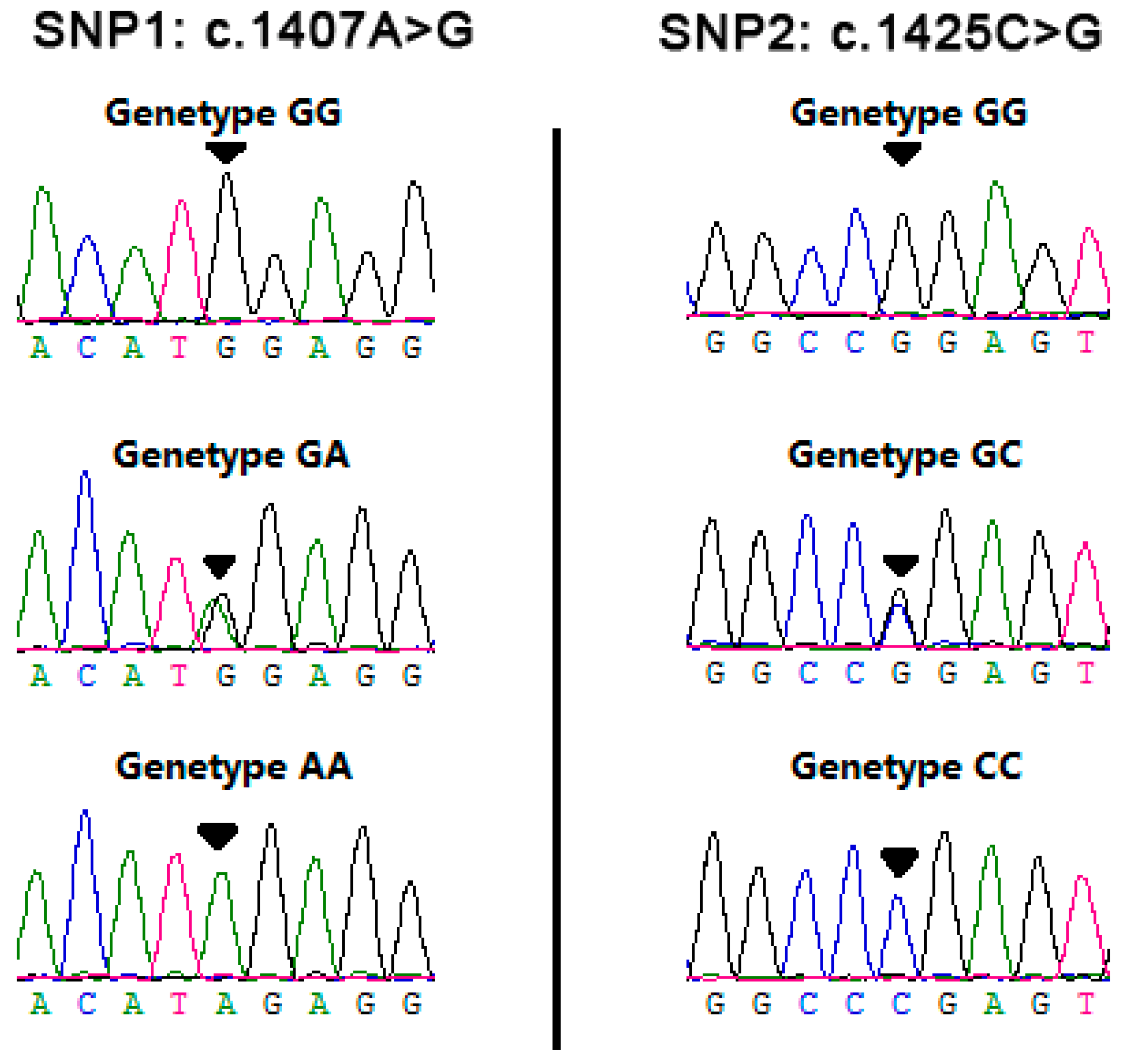 Animals 09 00836 g001