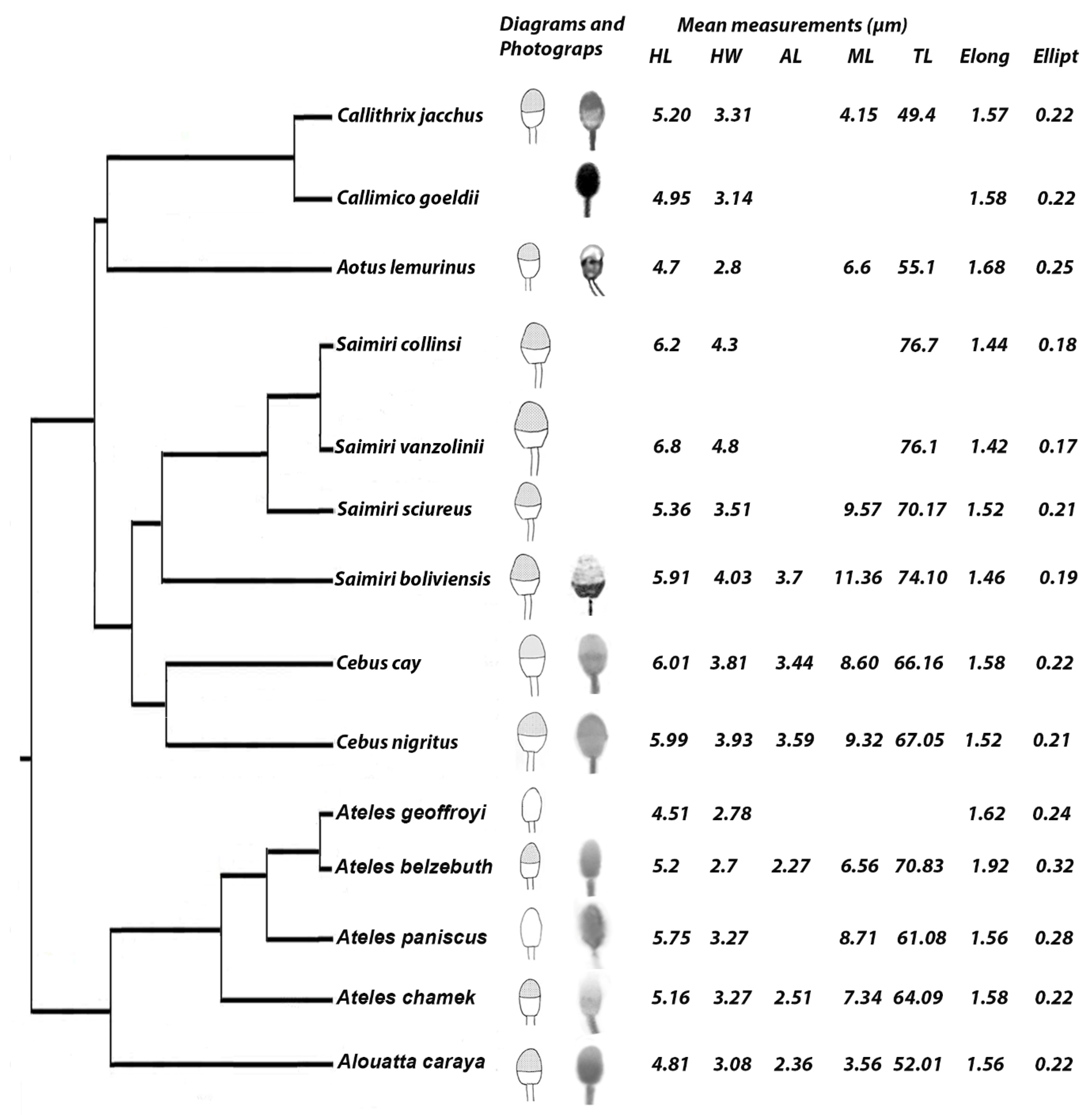 Animals 09 00839 g003 Animals 09 00839 g003