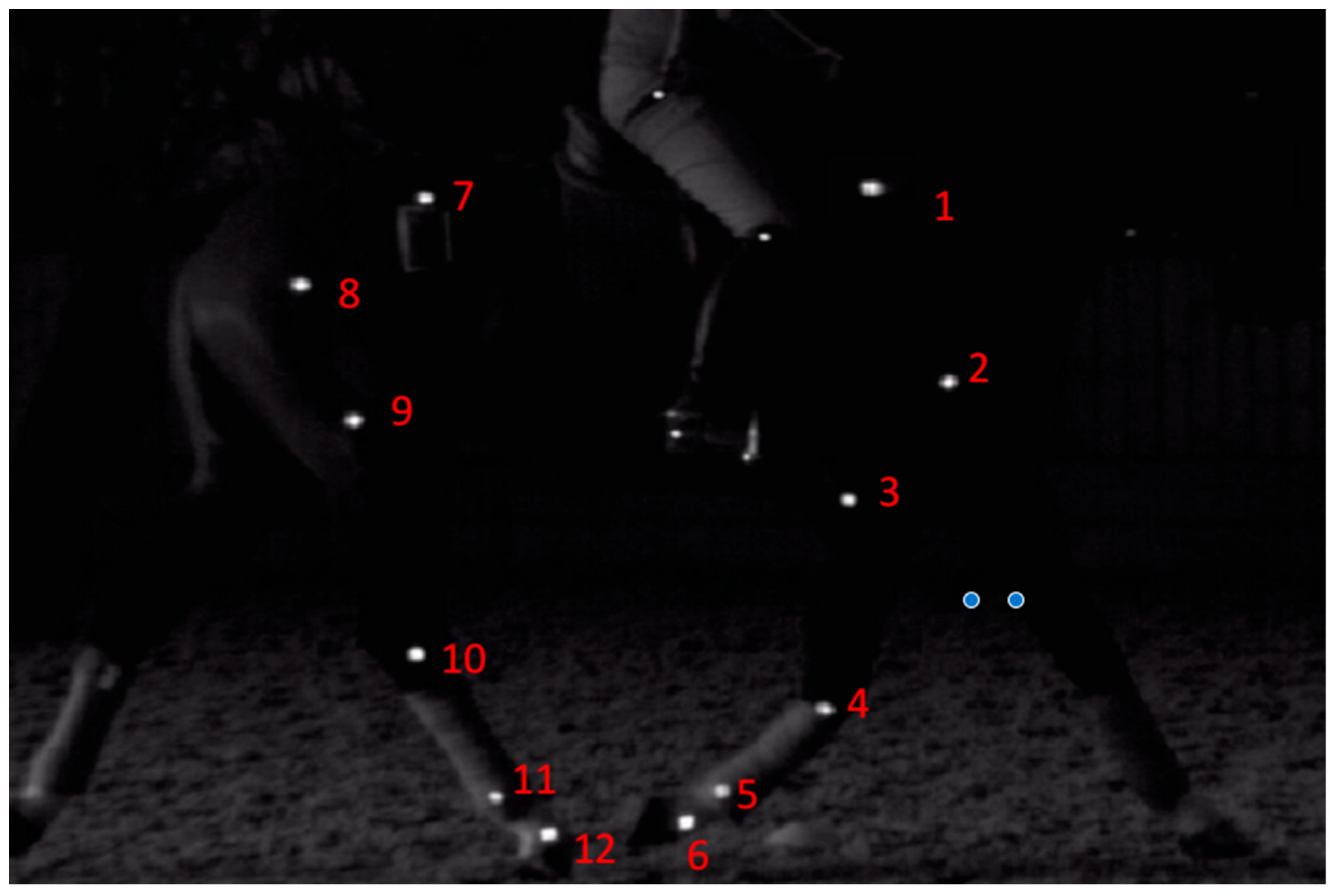 Animals 09 00842 g003