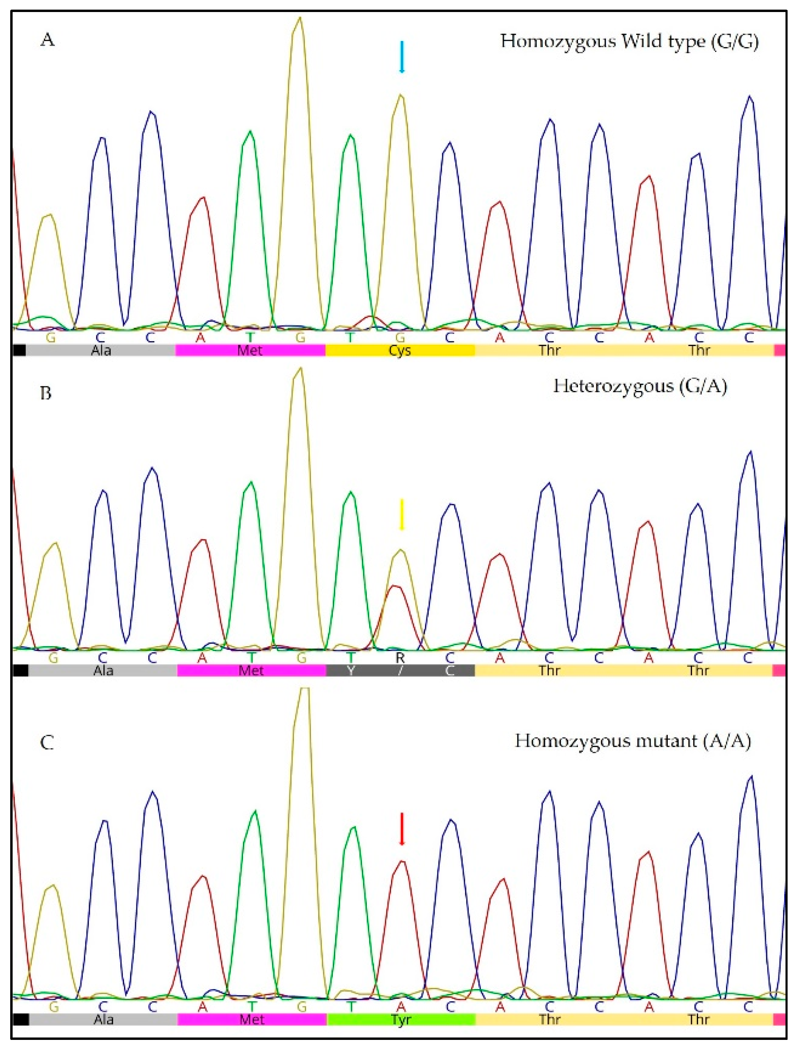 Animals 09 00844 g001