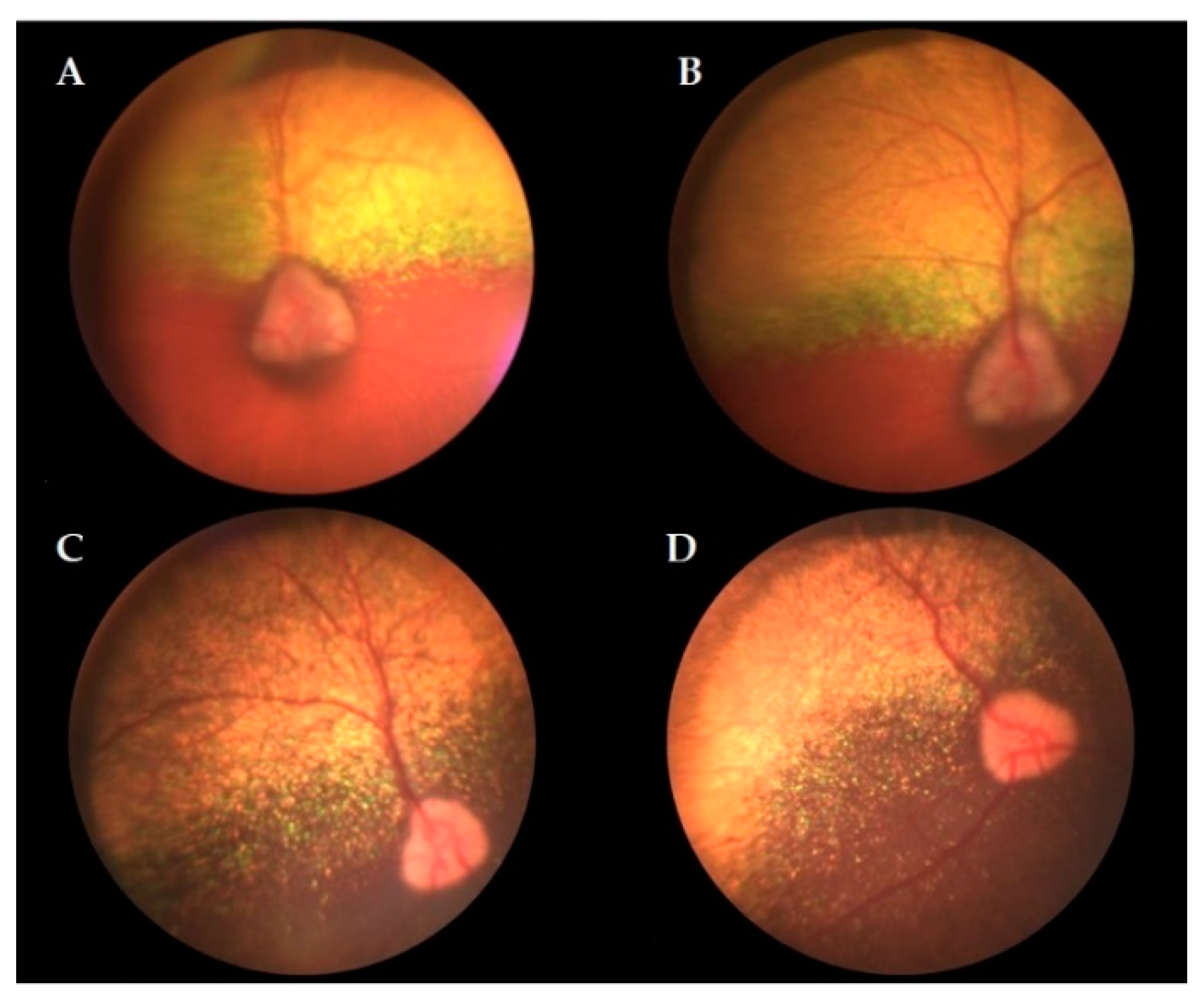 Animals 09 00844 g002