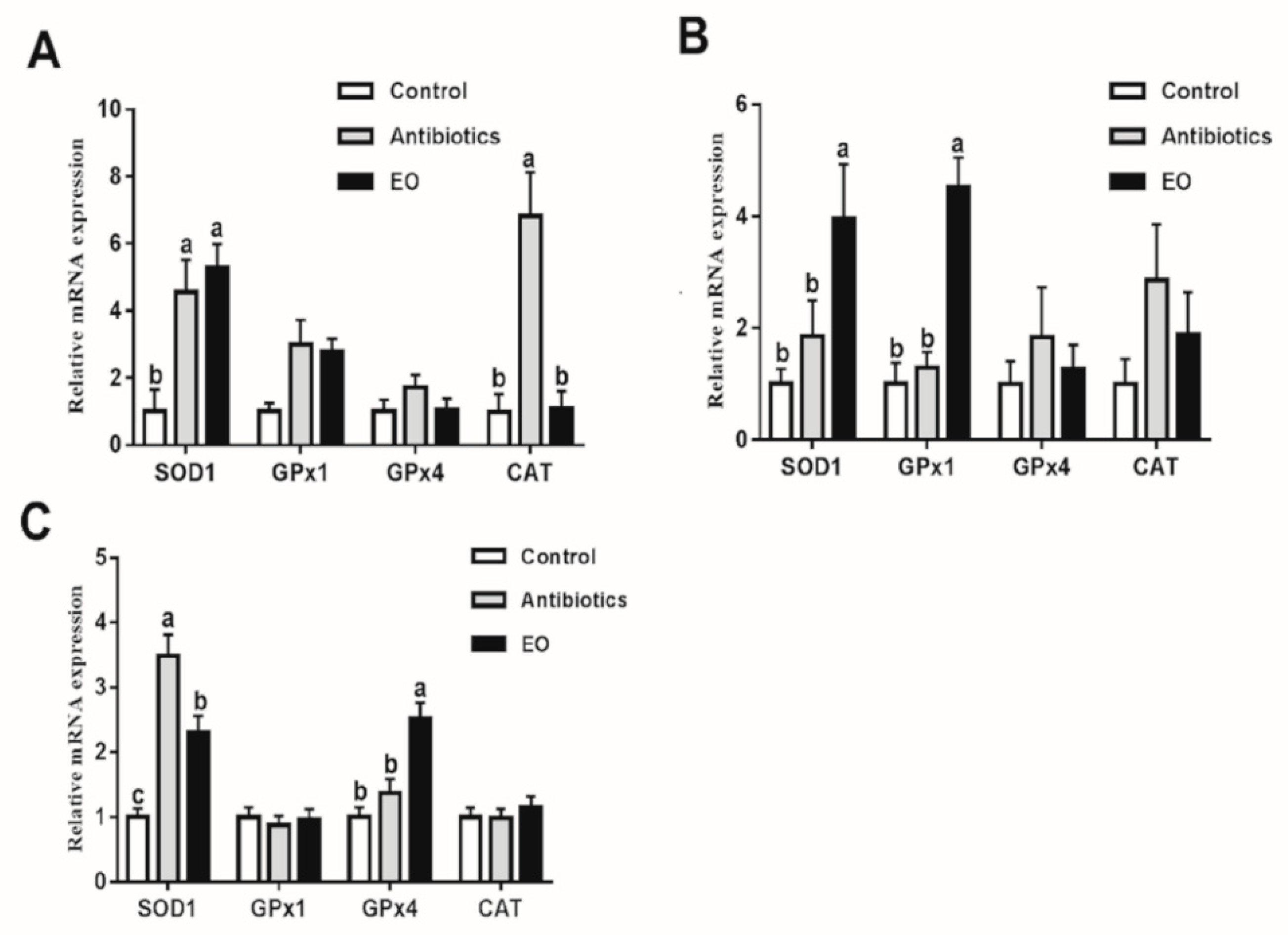 Animals 09 00847 g001