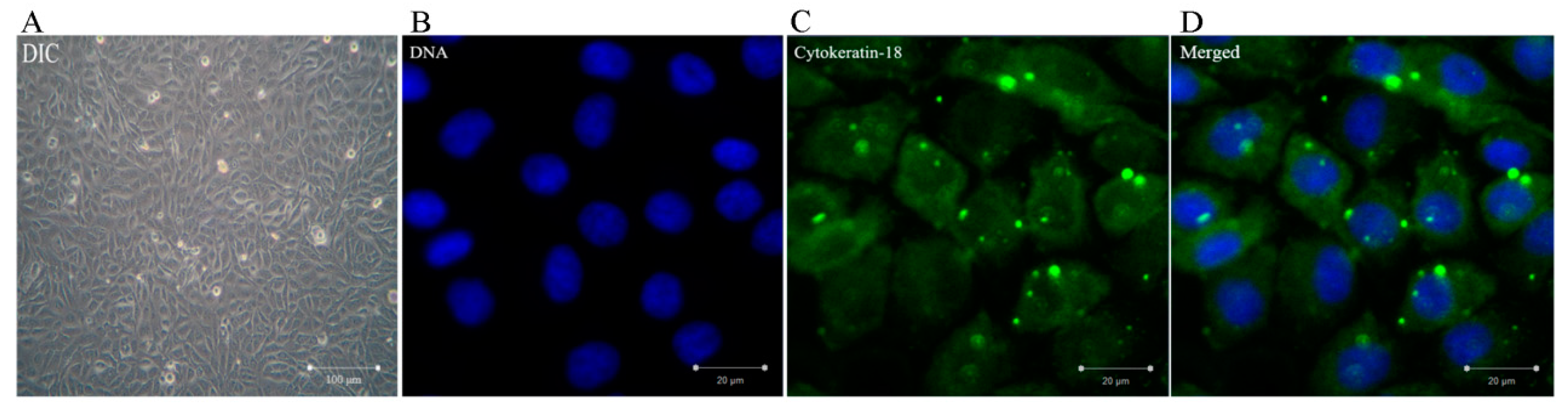 Animals 09 00848 g001 Animals 09 00848 g001