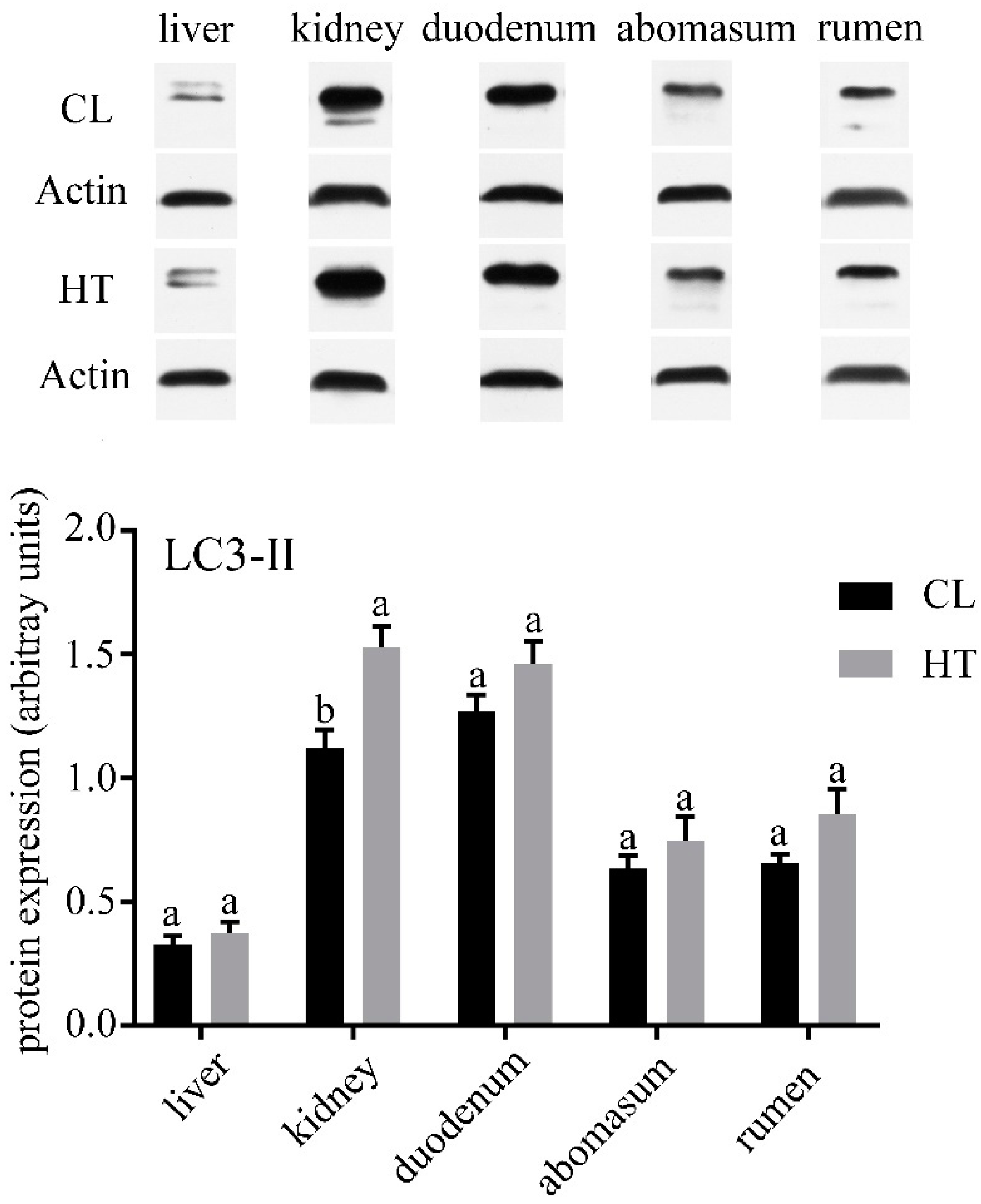 Animals 09 00854 g001 Animals 09 00854 g001