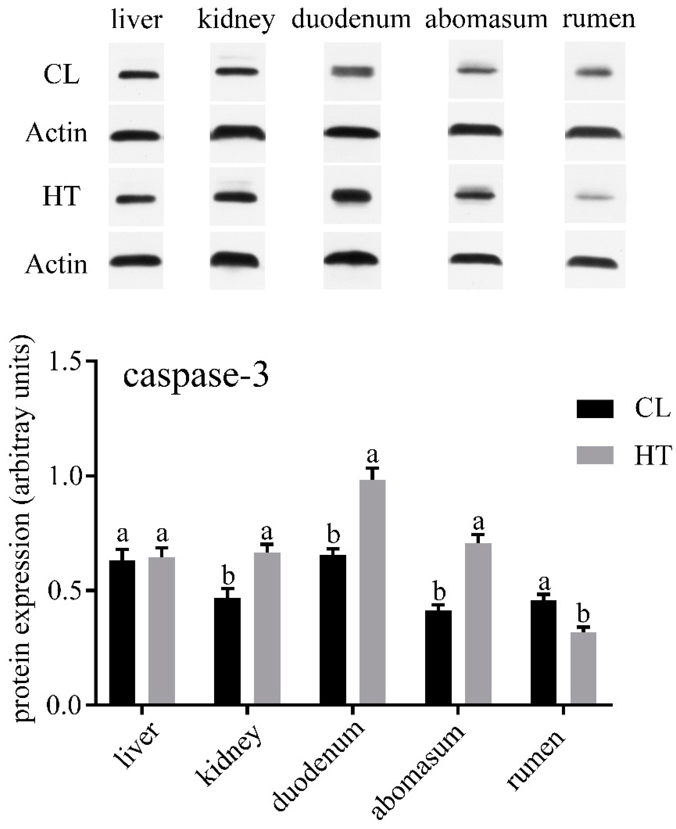 Animals 09 00854 g002 Animals 09 00854 g002