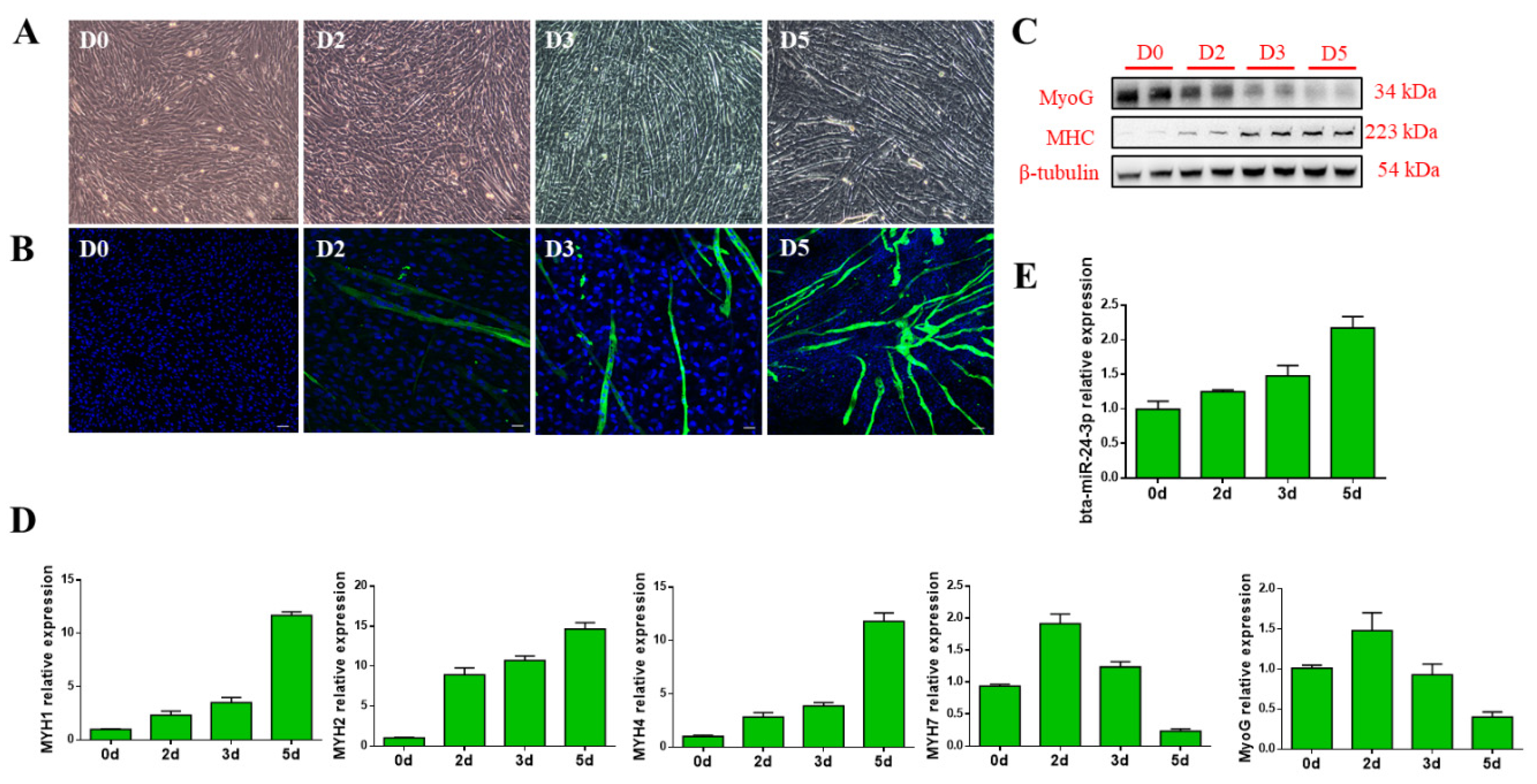 Animals 09 00859 g001