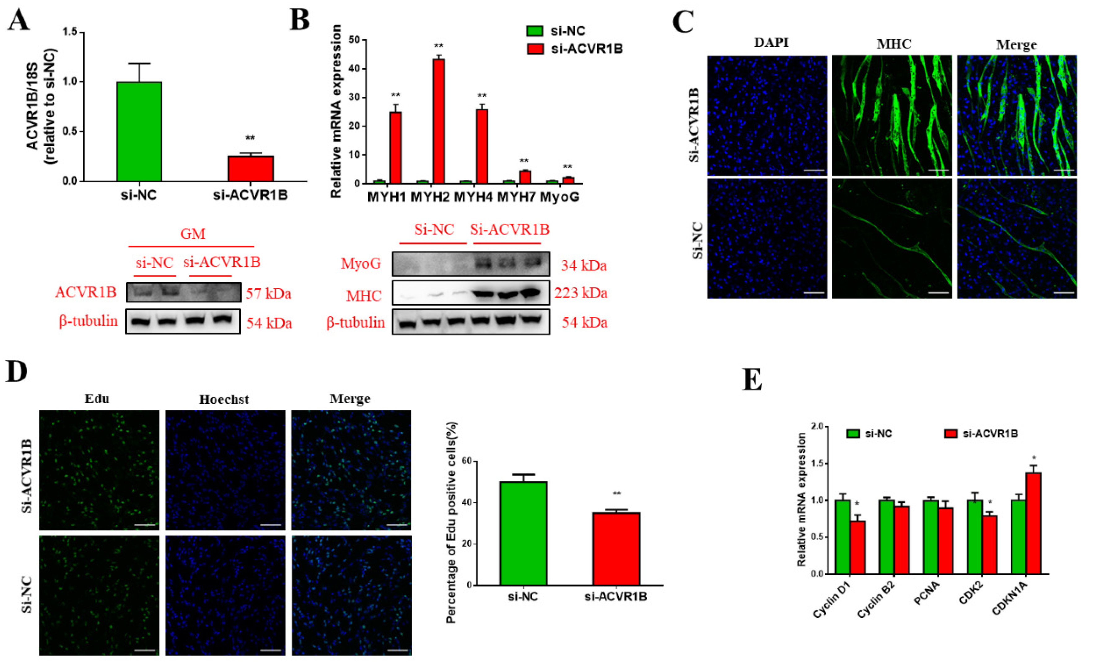 Animals 09 00859 g005